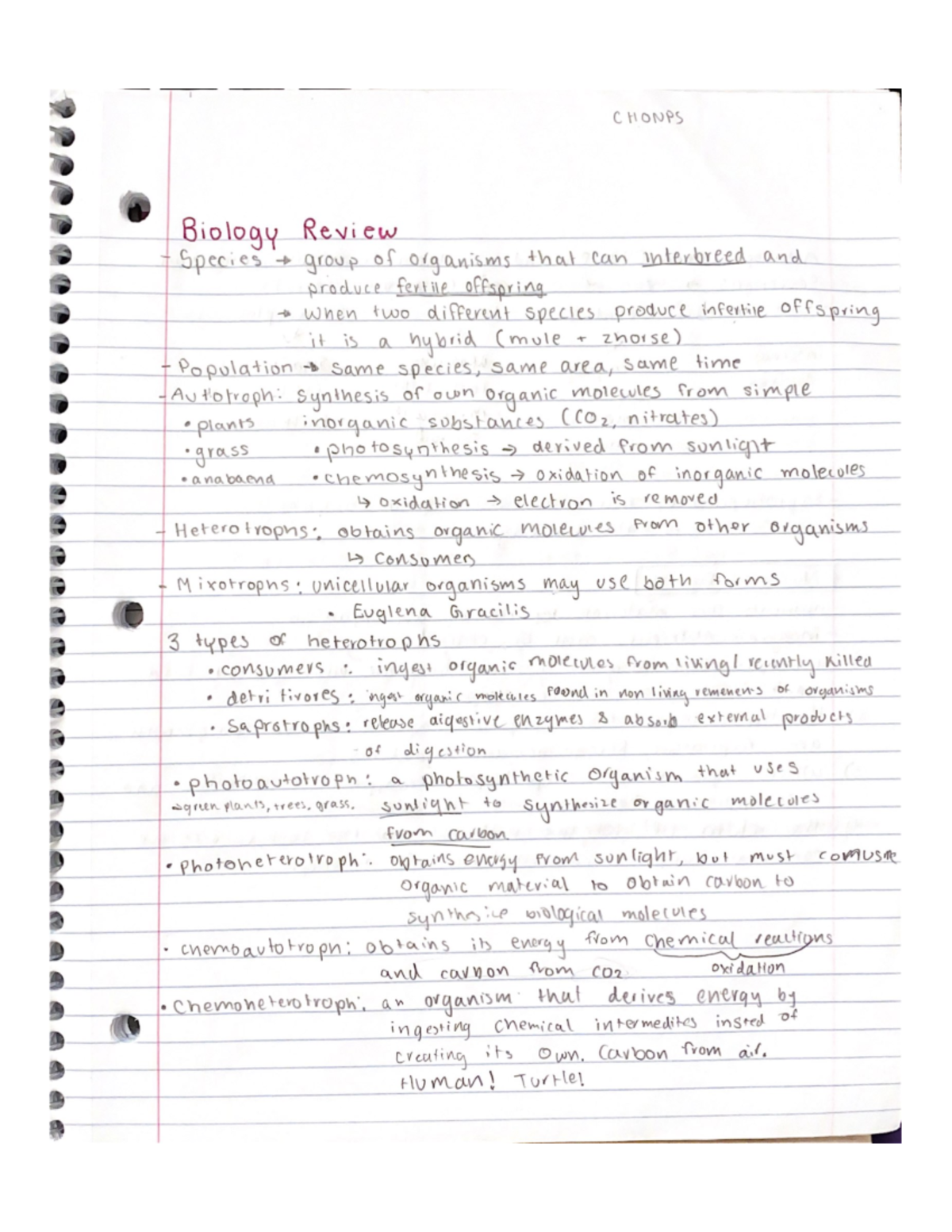 Biology Review - bio notes - CHM4053 - Studocu