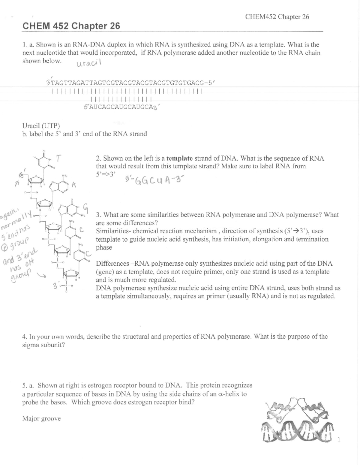 chem 454 case study 2 amino acid overload