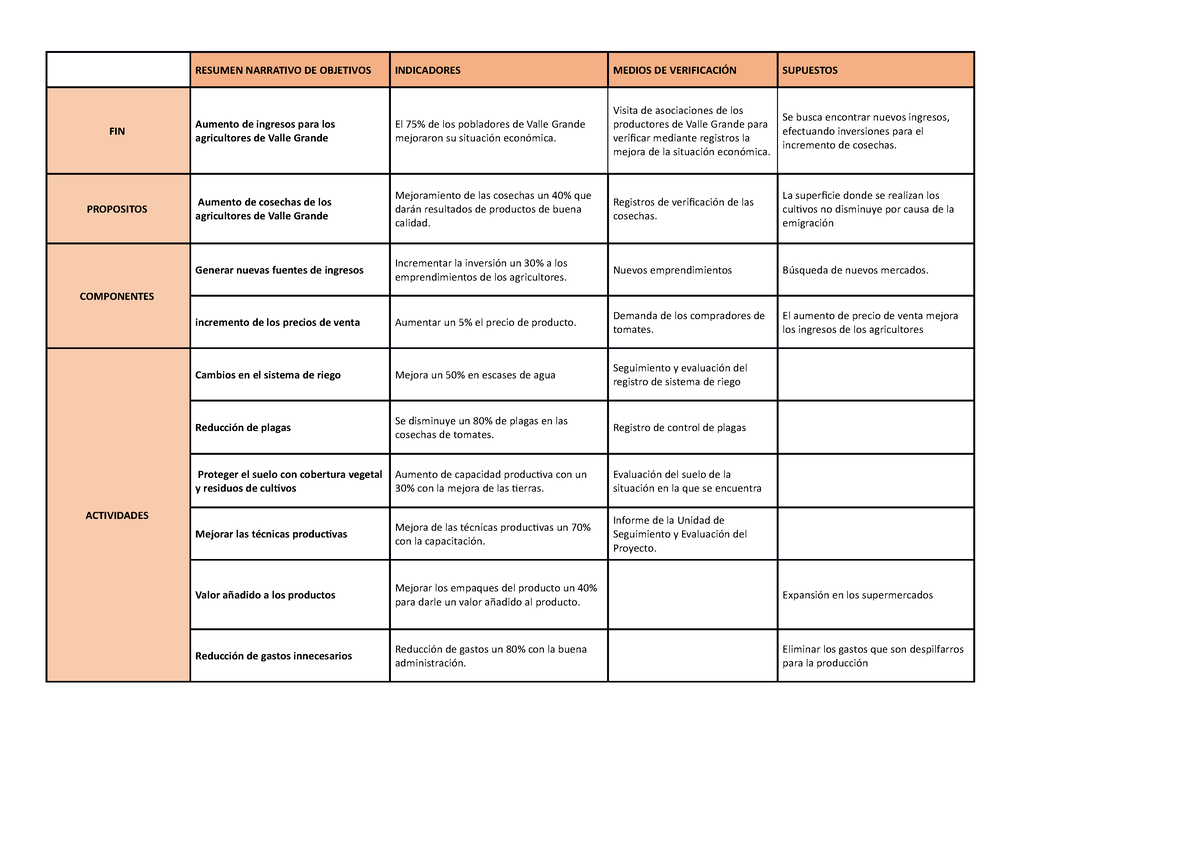 Doc Matriz De Marco Logico Resumen Narrativo Indicado 