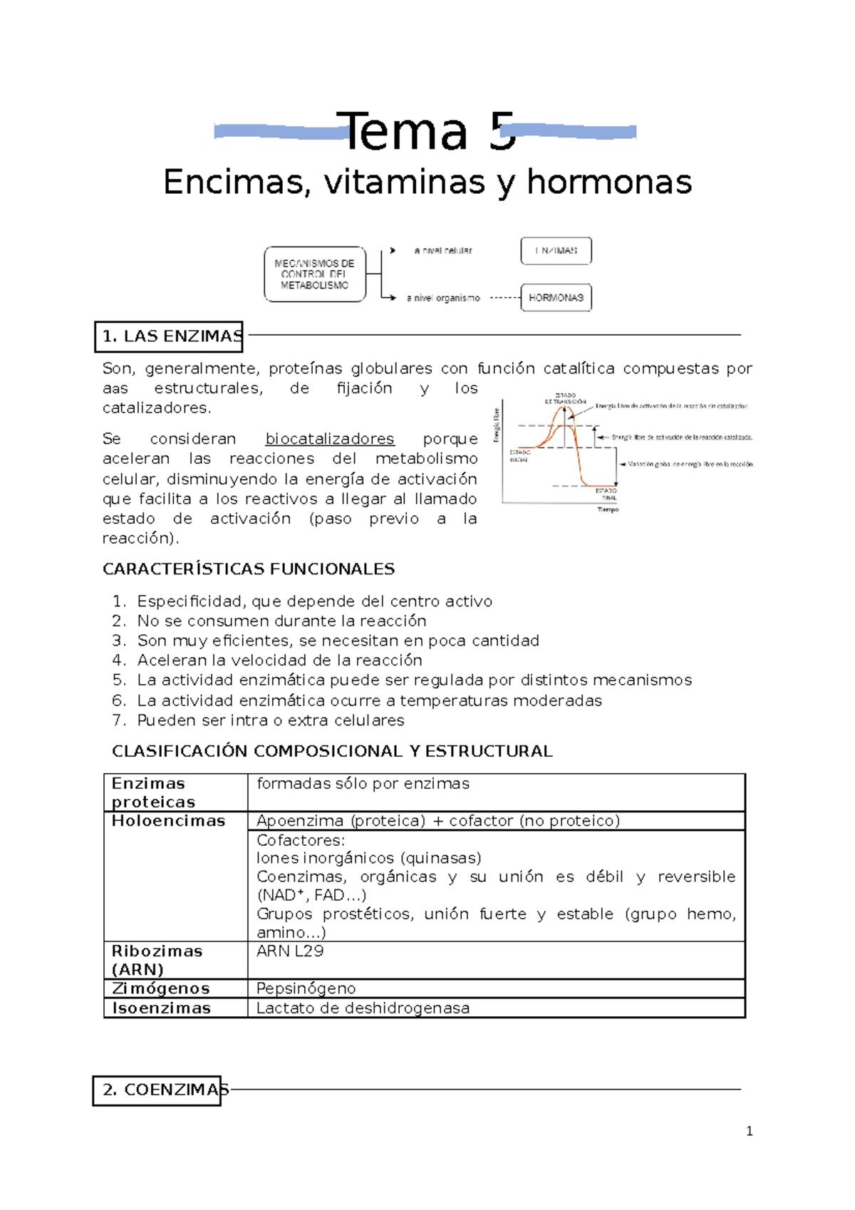 Tema 5 Enzimas, Vitaminas Y Hormonas - Tema 5 Encimas, Vitaminas Y ...