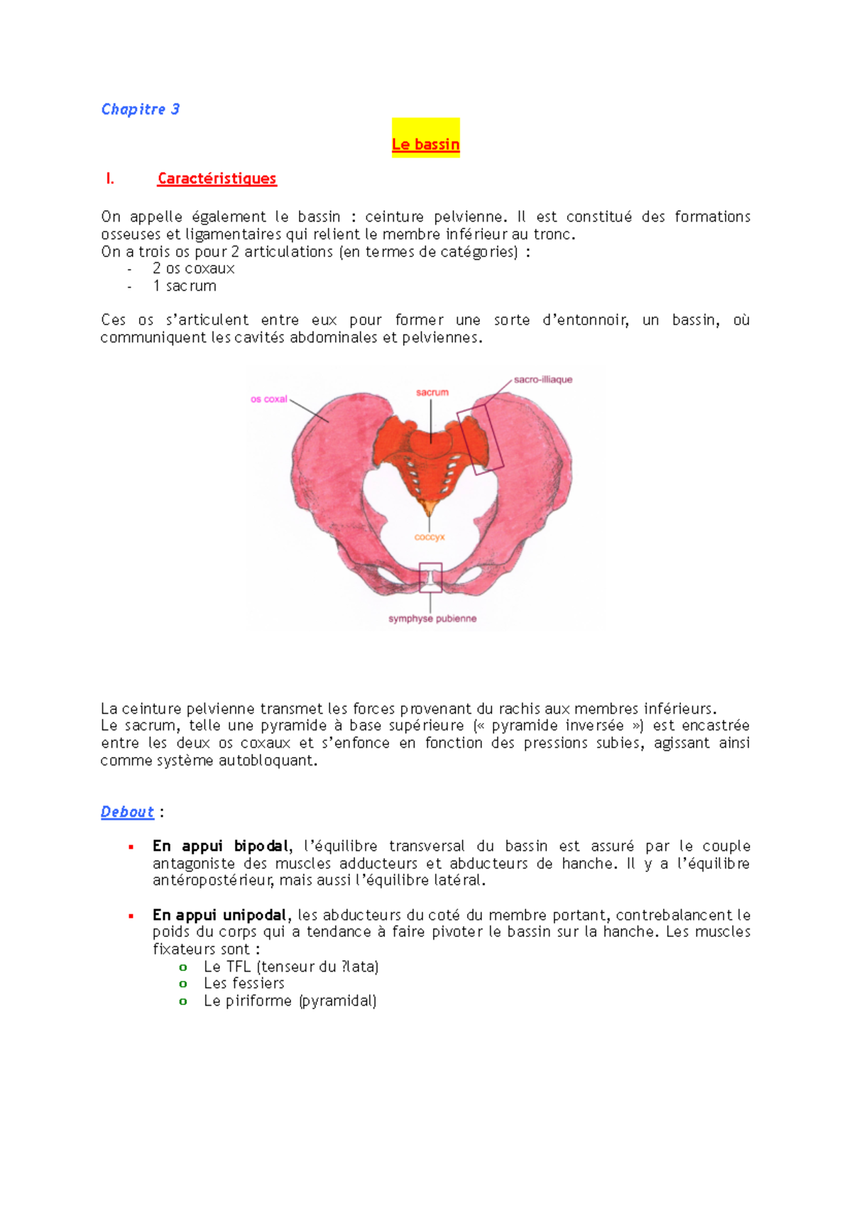 Anat 3 - Notes de cours 3 - Chapitre 3 Le bassin I. Caractéristiques On ...