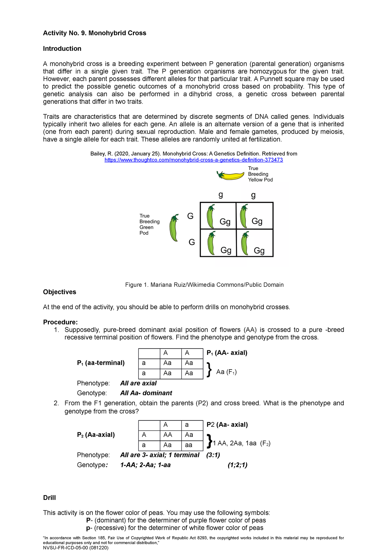 Activity No 9 Monohybrid Cross - Activity No. 9. Monohybrid Cross ...