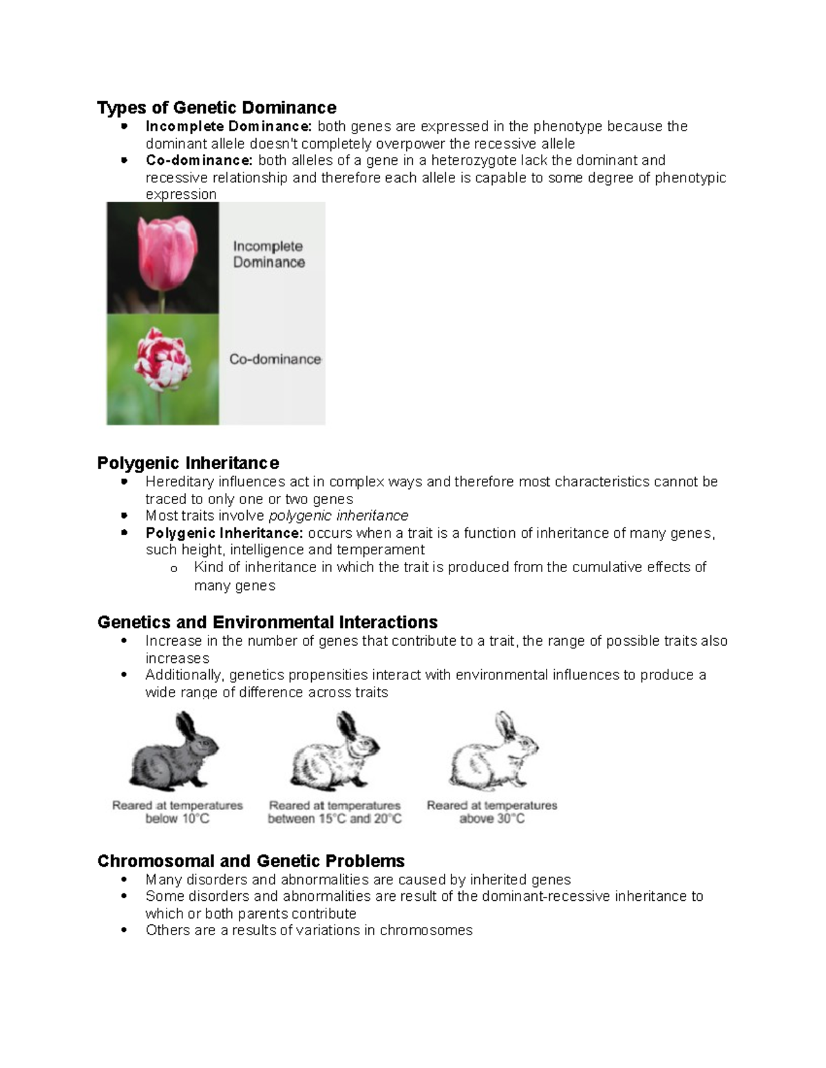 write a hypothesis that describes how genetic dominance occurs