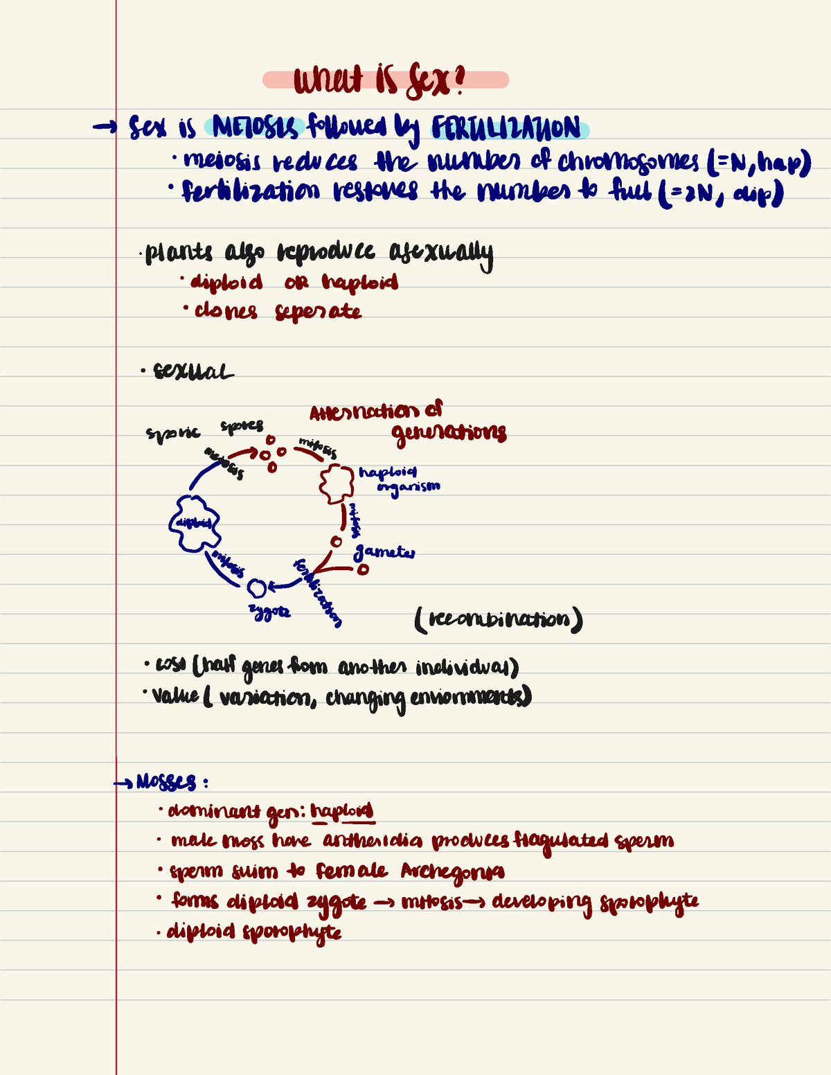 Lecture 10 What Is Sex What Is Sex → Sox Is Mei 084 Followed By