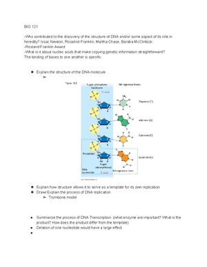 Student exploration Graphing Skills SE Key Gizmos Explore Learning ...