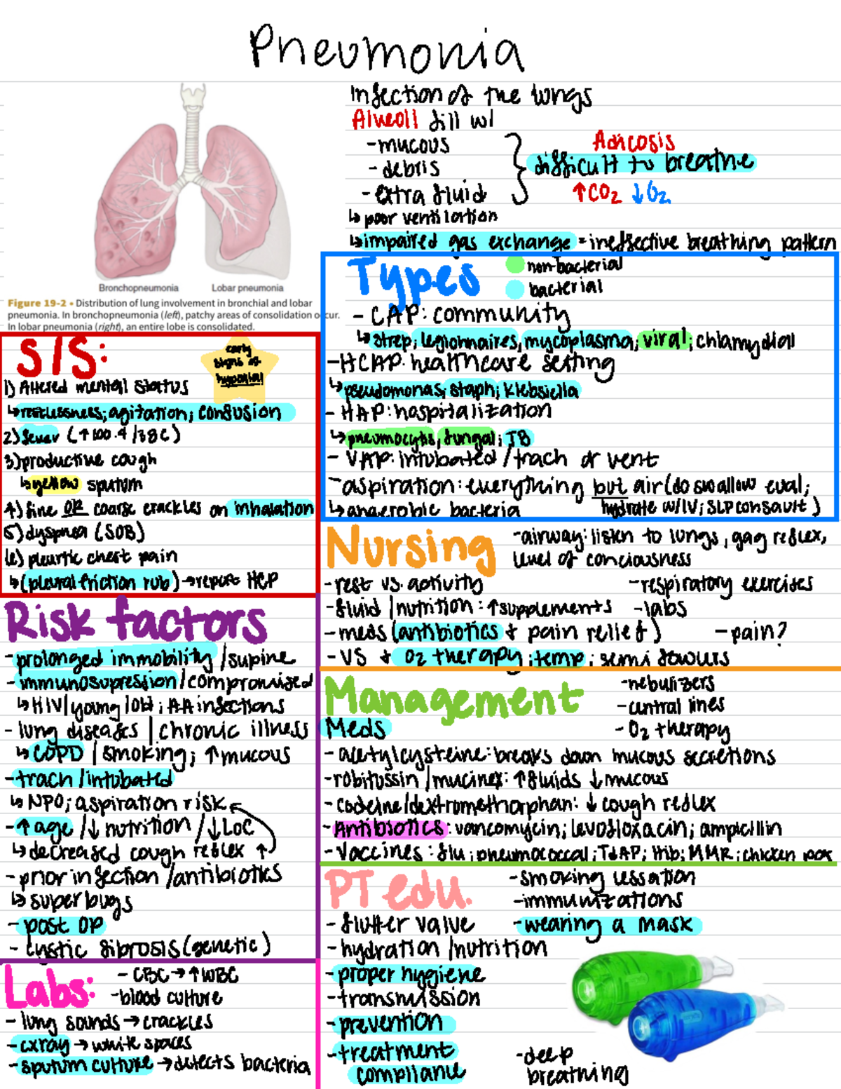 Pneumonia - Pneumonia infection of the lungs Alveolifill wi - MUCOUS ...