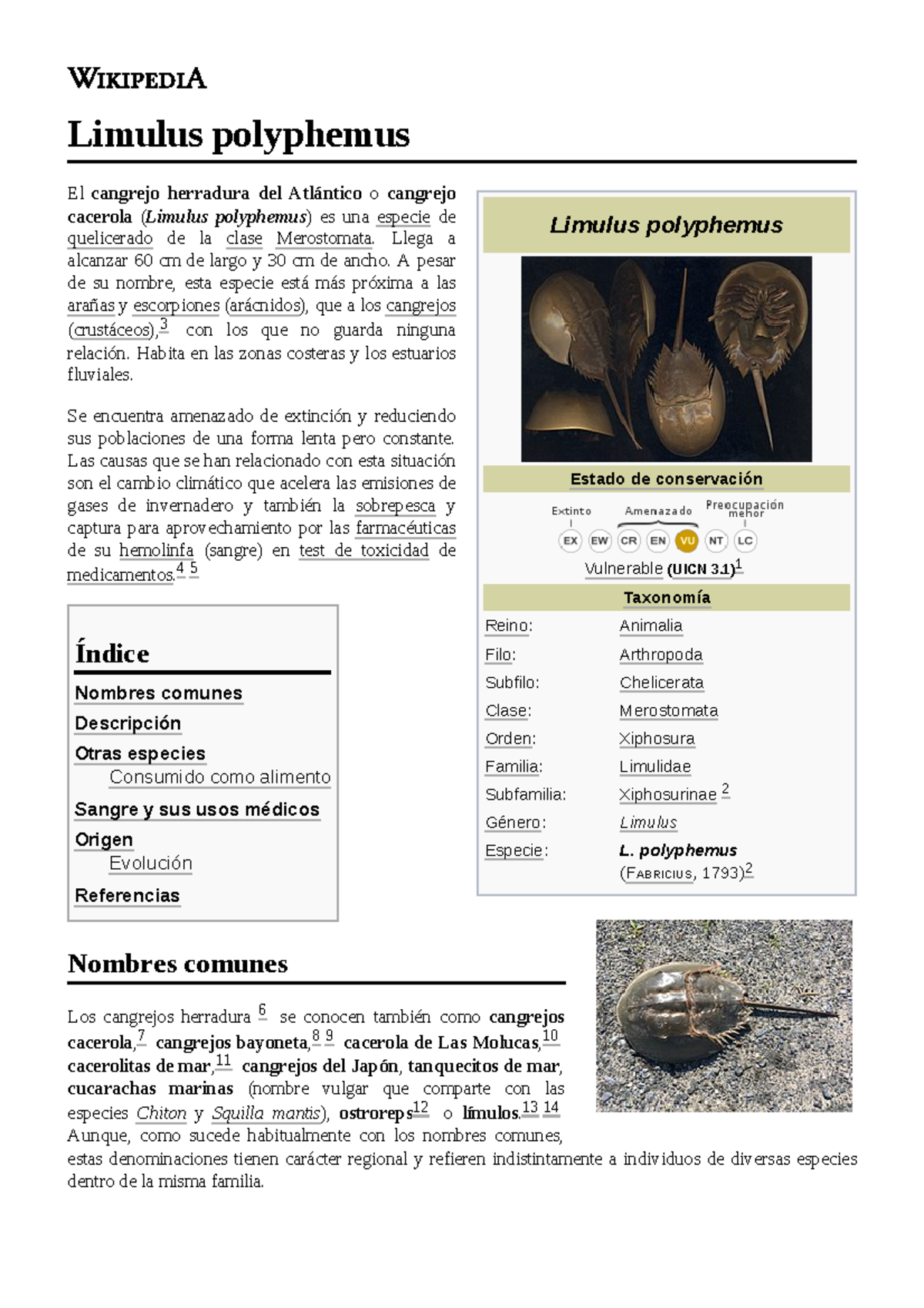 Limulus polyphemus Limulus polyphemus Estado de conservación