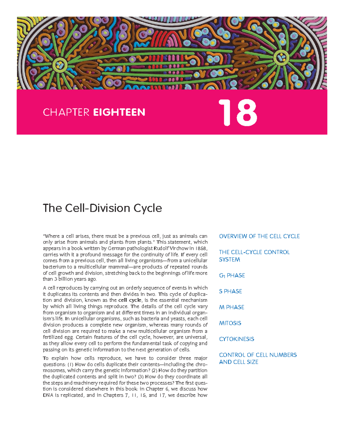 Essential Cell Biology 5e Chapter 18 - The Cell-Division Cycle ...