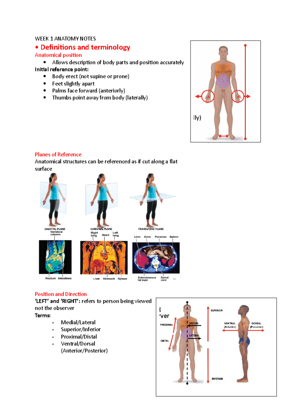 WEEK 1-3 Anatomy Notes - WEEK 1 ANATOMY NOTES • Definitions and ...