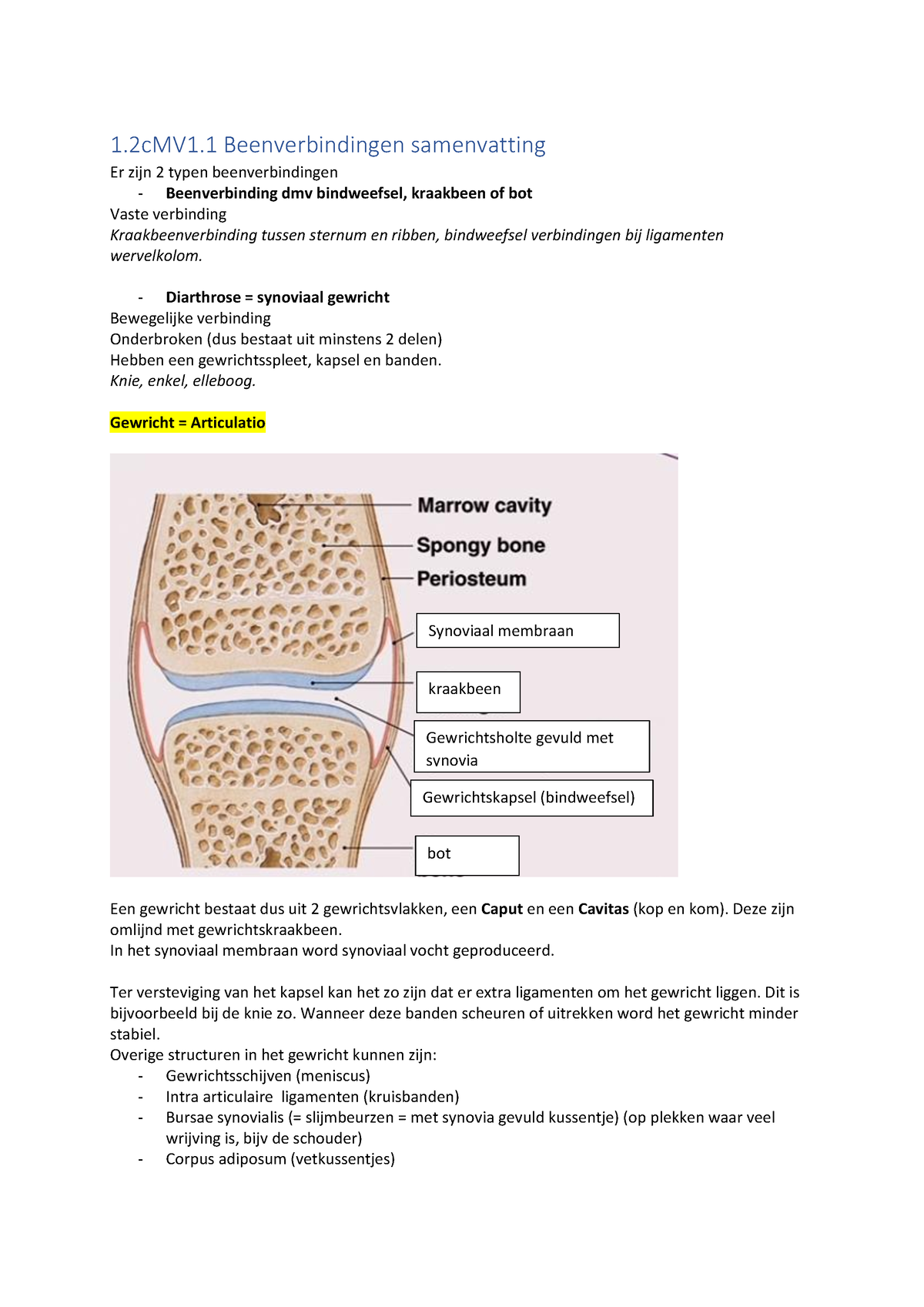 Beenverbindingen Samenvatting - 1.2cMV1 Beenverbindingen Samenvatting ...