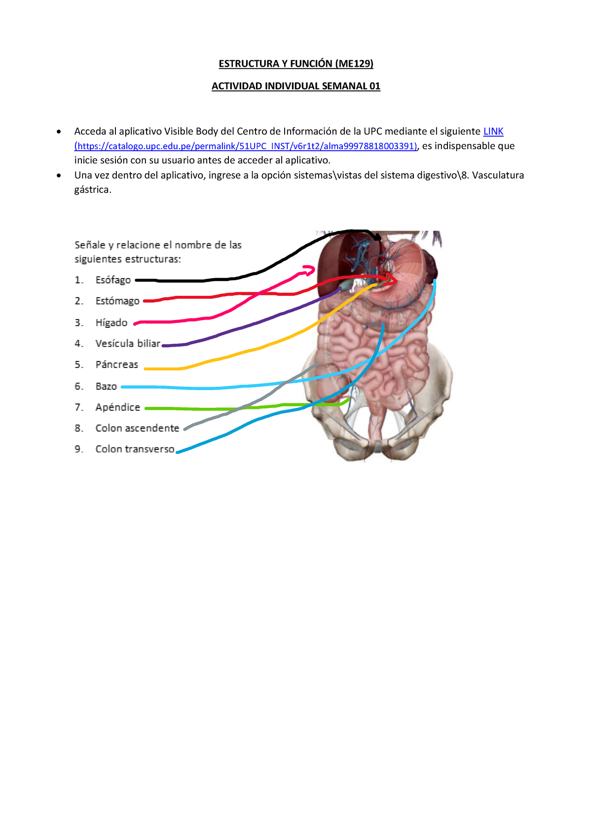 ME129 Ey F Tarea Sem01 24 - ESTRUCTURA Y FUNCI”N (ME129) ACTIVIDAD ...