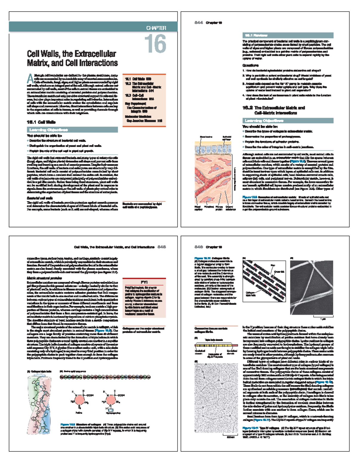 Ch16 Cell biology chapter 16 Studocu