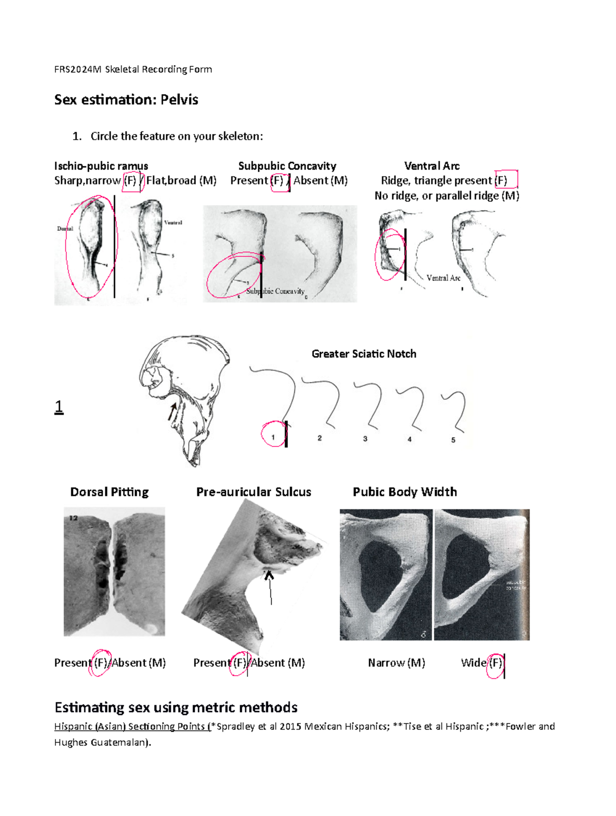 Skeletal Recording Form Frs2024 Sex Estimation Pelvis Circle The Feature On Your Skeleton 8393