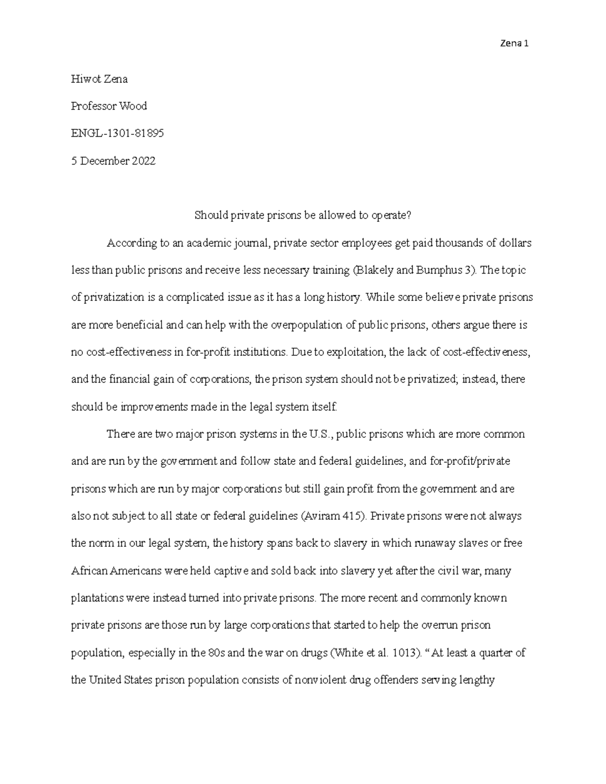 argumentative essay about prisons