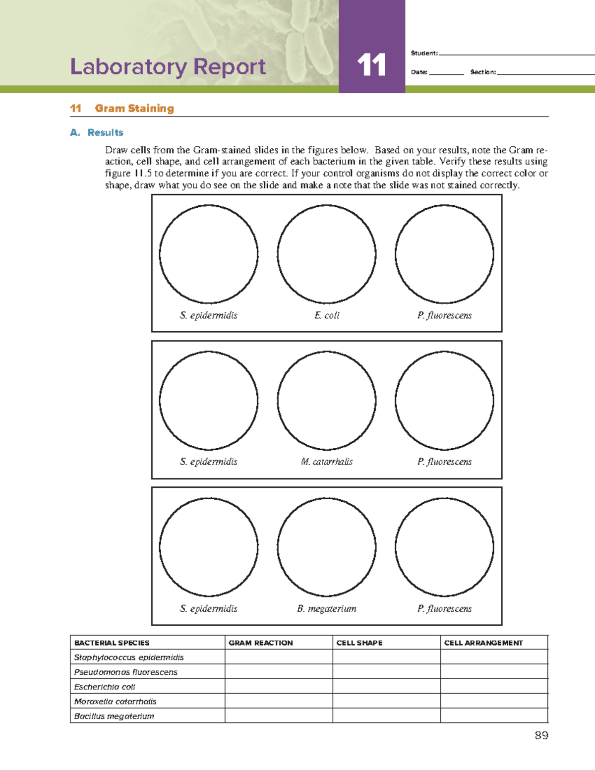 Exercise 11 Lab Report Laboratory Report Student Date Section 89