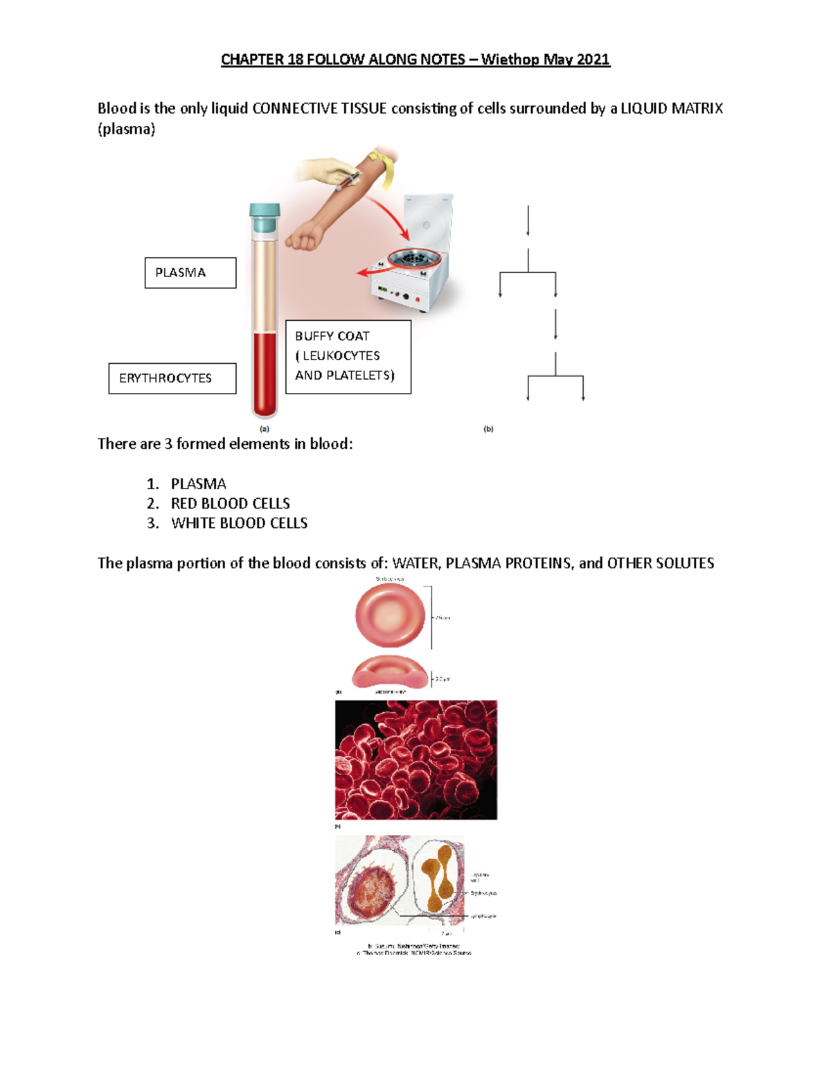 Blood Is The Only Liquid Connective Tissue