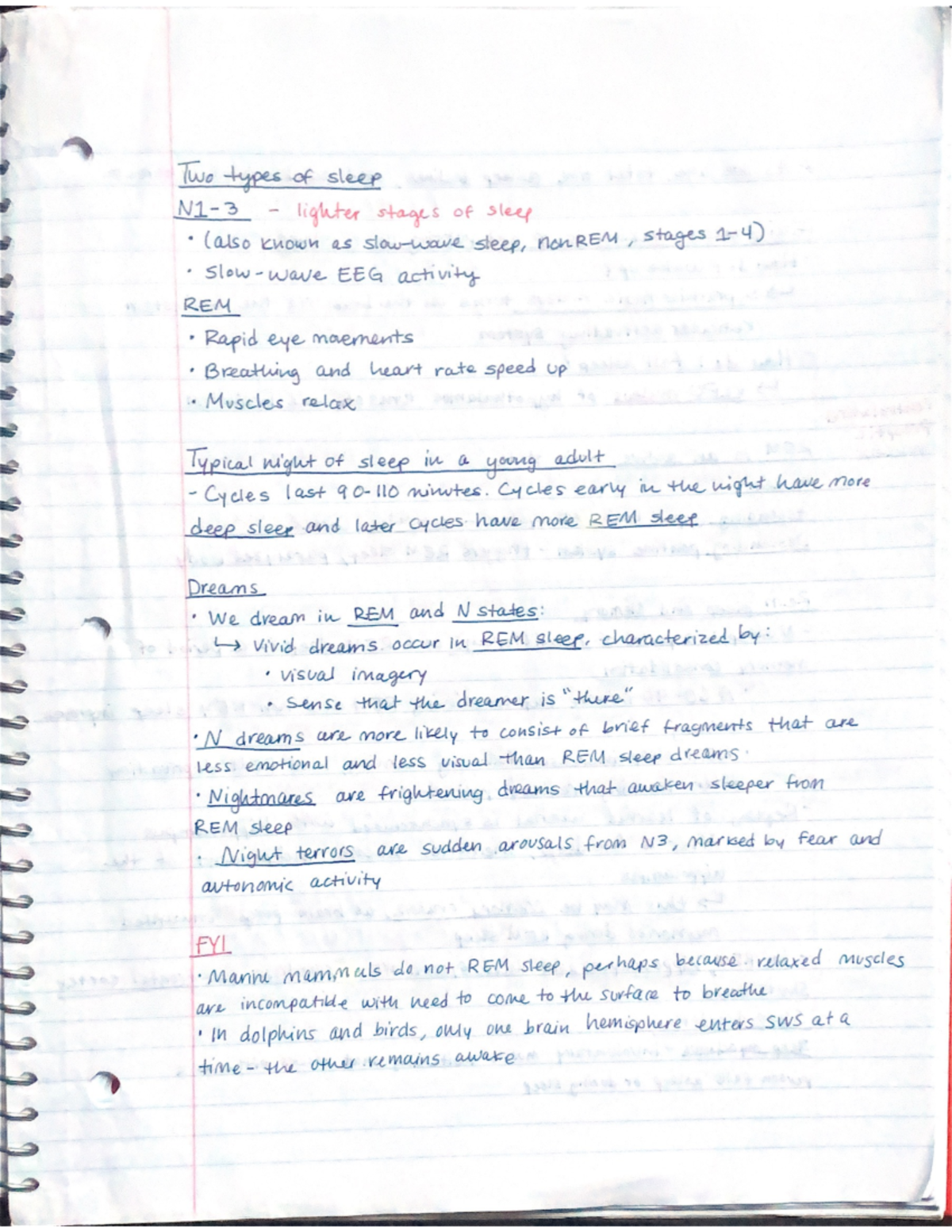 introduction to neuroscience - Sleep chapter - J Lypes of slee N1- 3 ...
