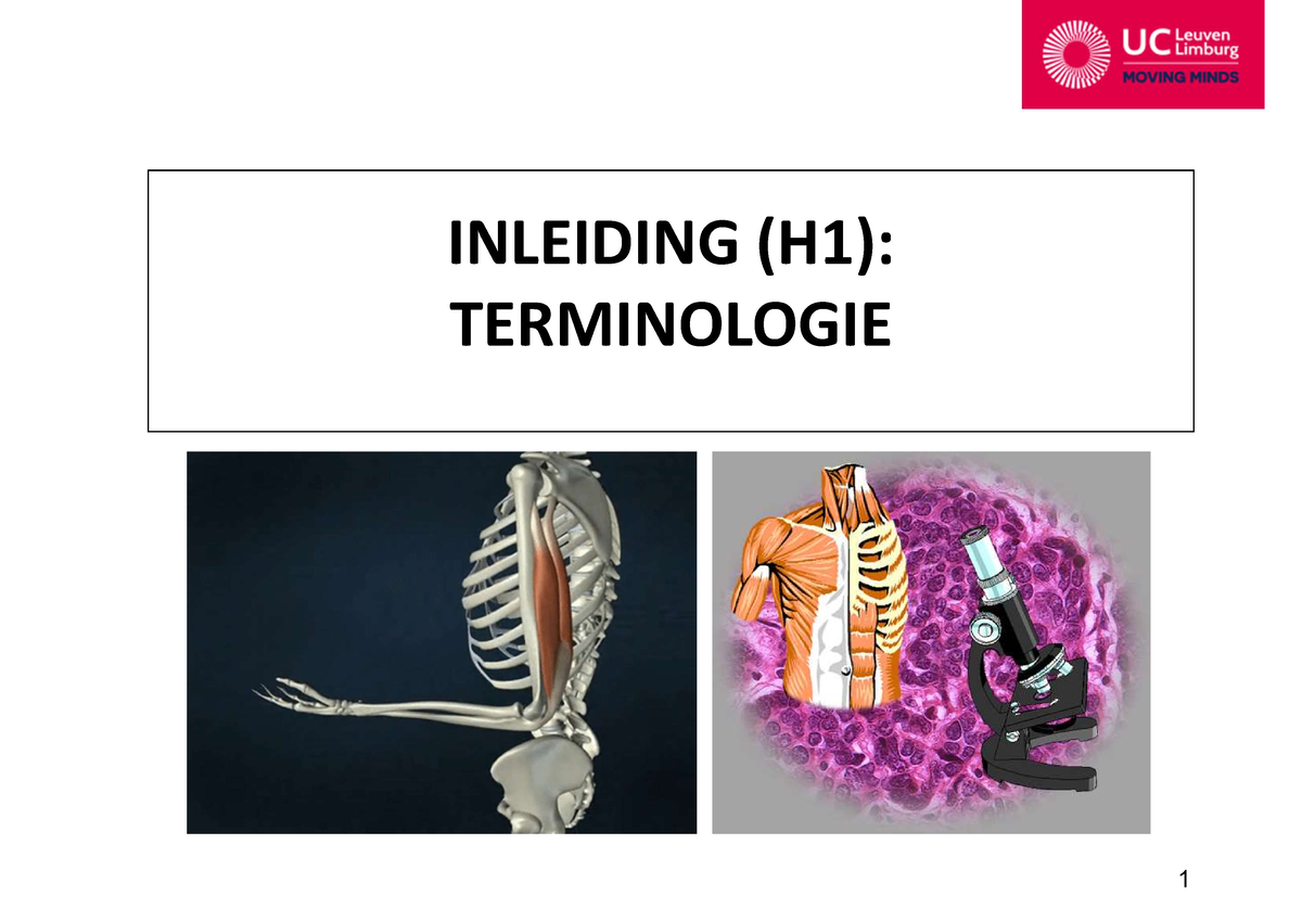 H1 Anatomische En Histologische Terminologie Handouts - INLEIDING (H1 ...