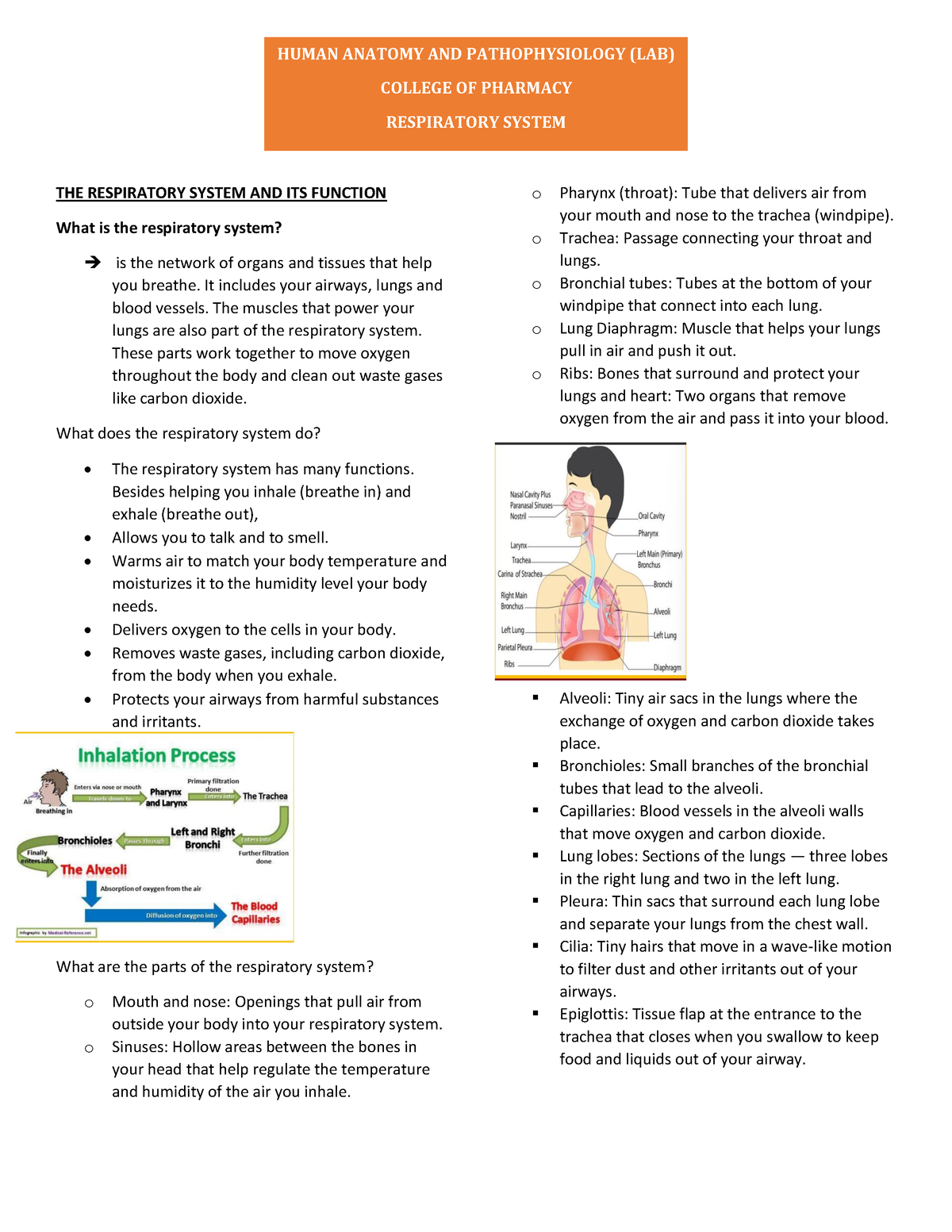 Anatomy-LAB-finals - lec - HUMAN ANATOMY AND PATHOPHYSIOLOGY (LAB ...