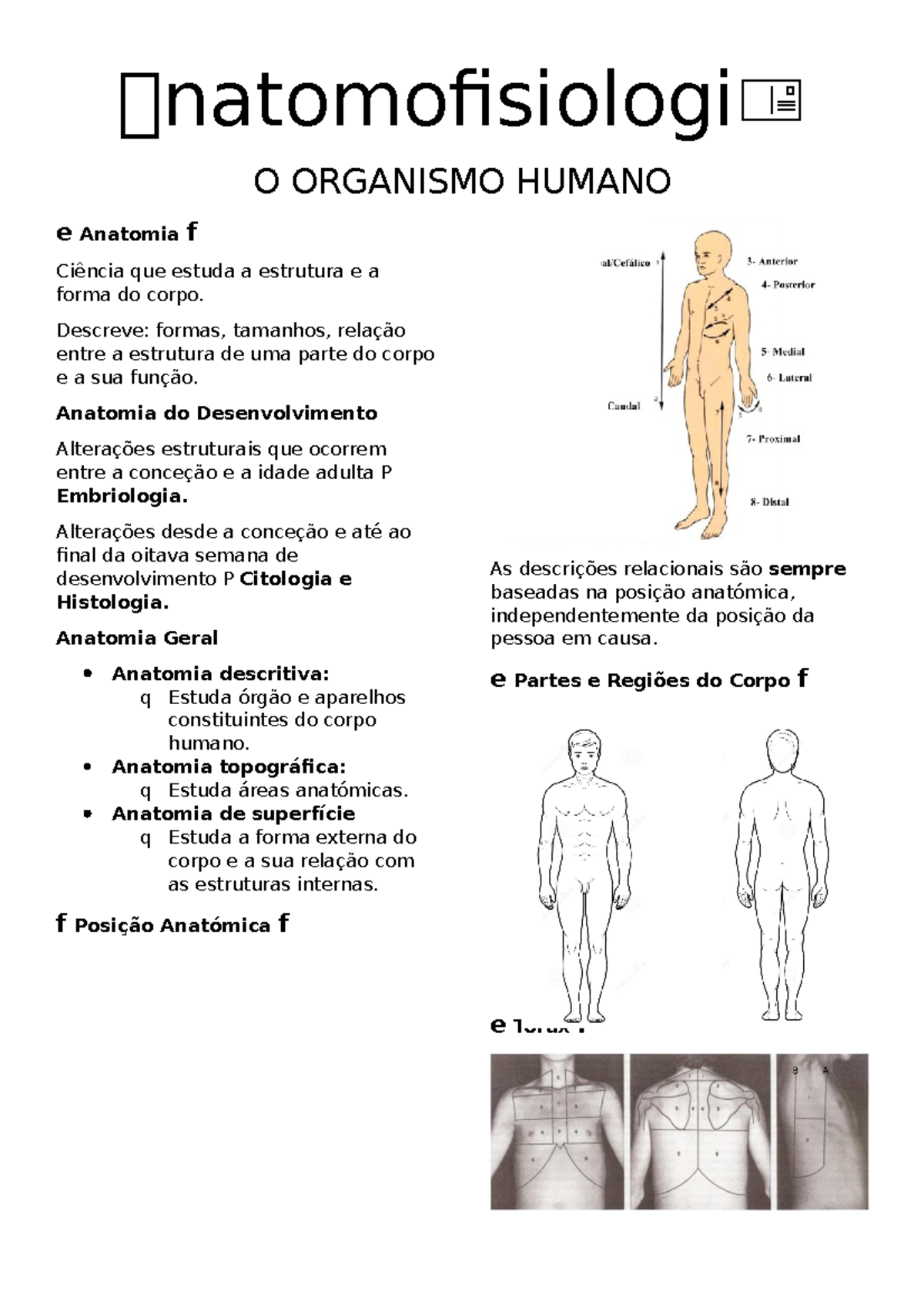 Anatomofisiologia O Que é - RETOEDU