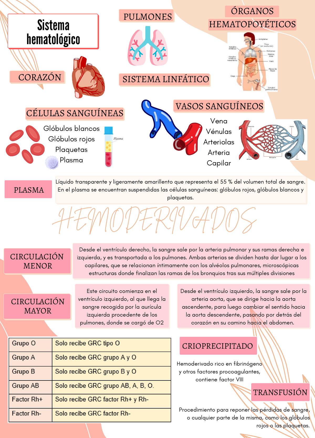 Hemoderivados - Mapa - HEMODERIVADOS Sistema Hematológico CORAZÓN ...