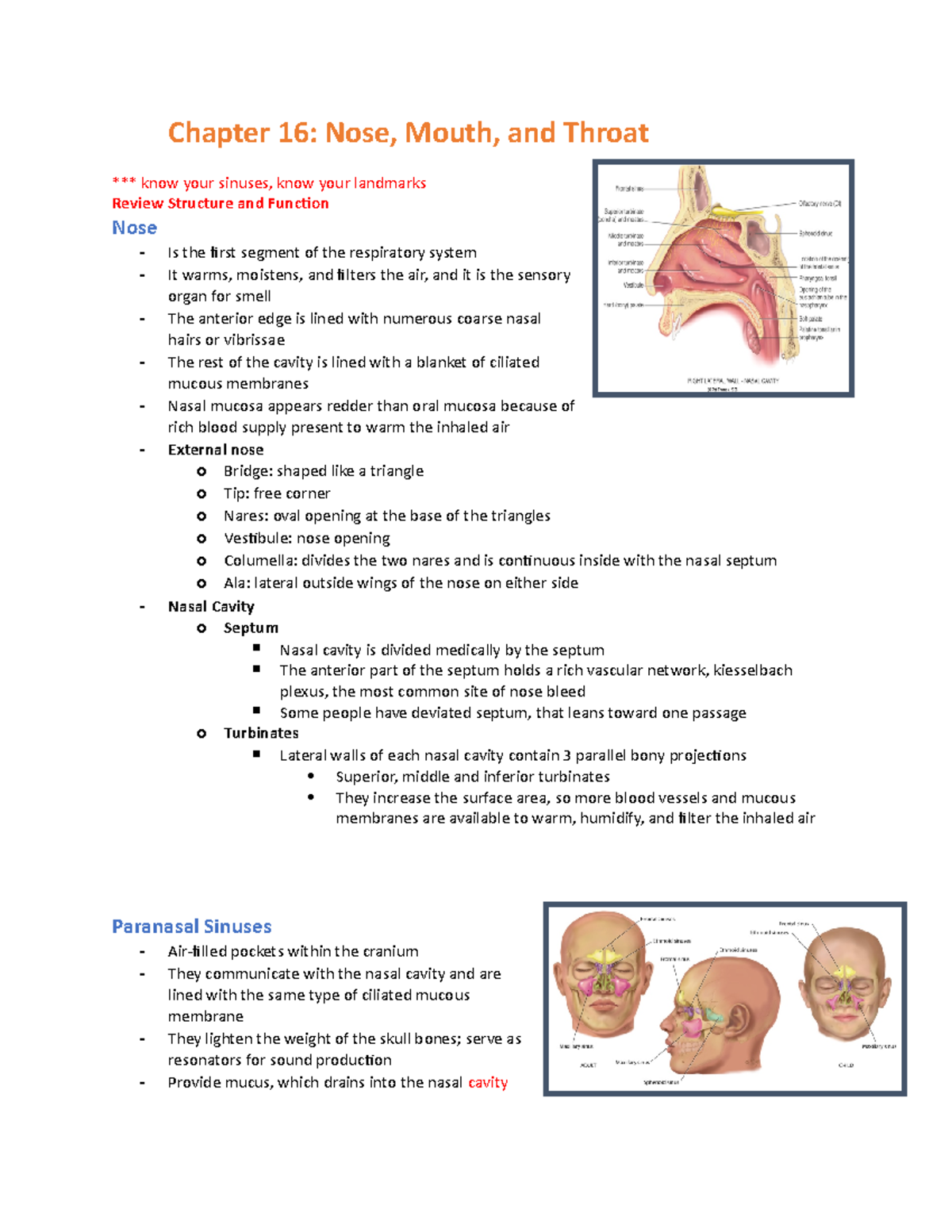 Chapter 16- Nose, Mouth, And Throat - Chapter 16: Nose, Mouth, And ...