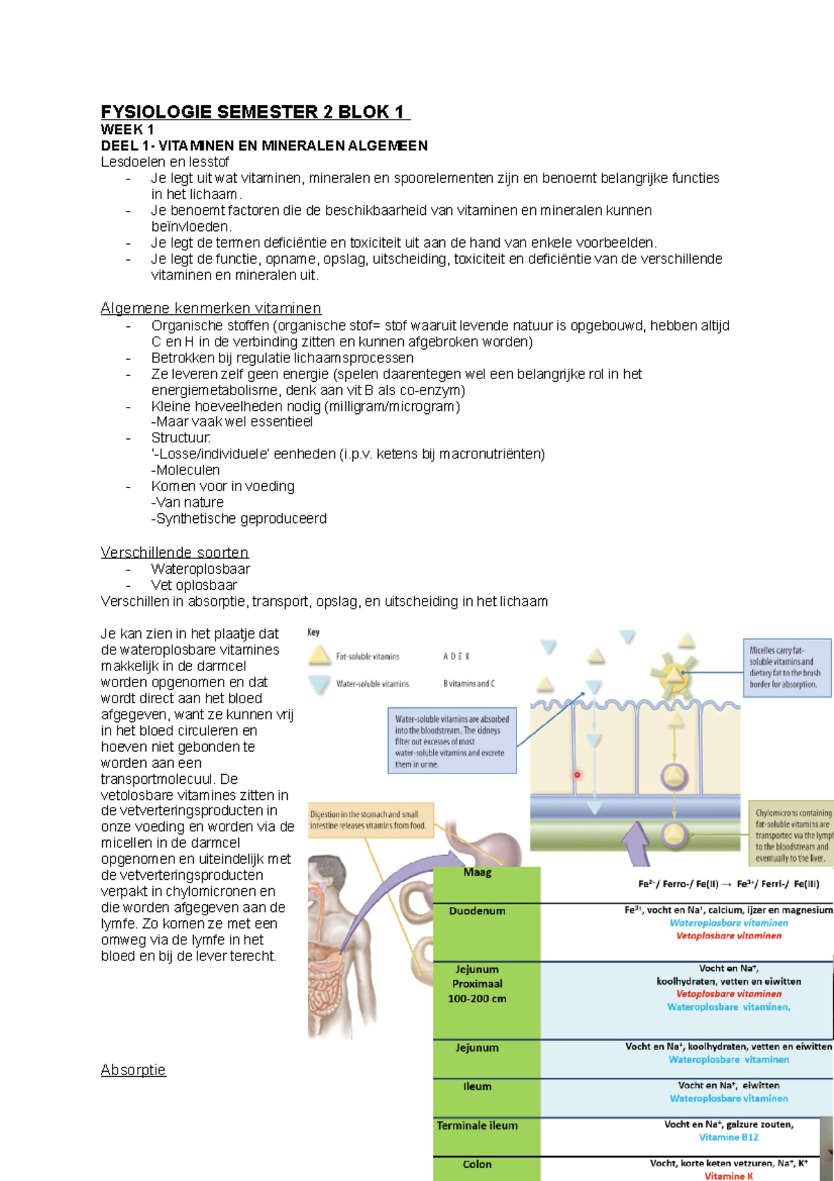 Fysiologie Semester 2 BLOK 1 - FYSIOLOGIE SEMESTER 2 BLOK 1 WEEK 1 DEEL ...