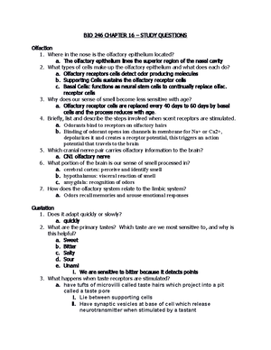 Lab Excersise 44 Heart Anatomy Dr L Martinez Bio 246 Anatomy And Lab Excersise 44 Heart Anatomy Dr L Martinez Bio 246 Anatomy And