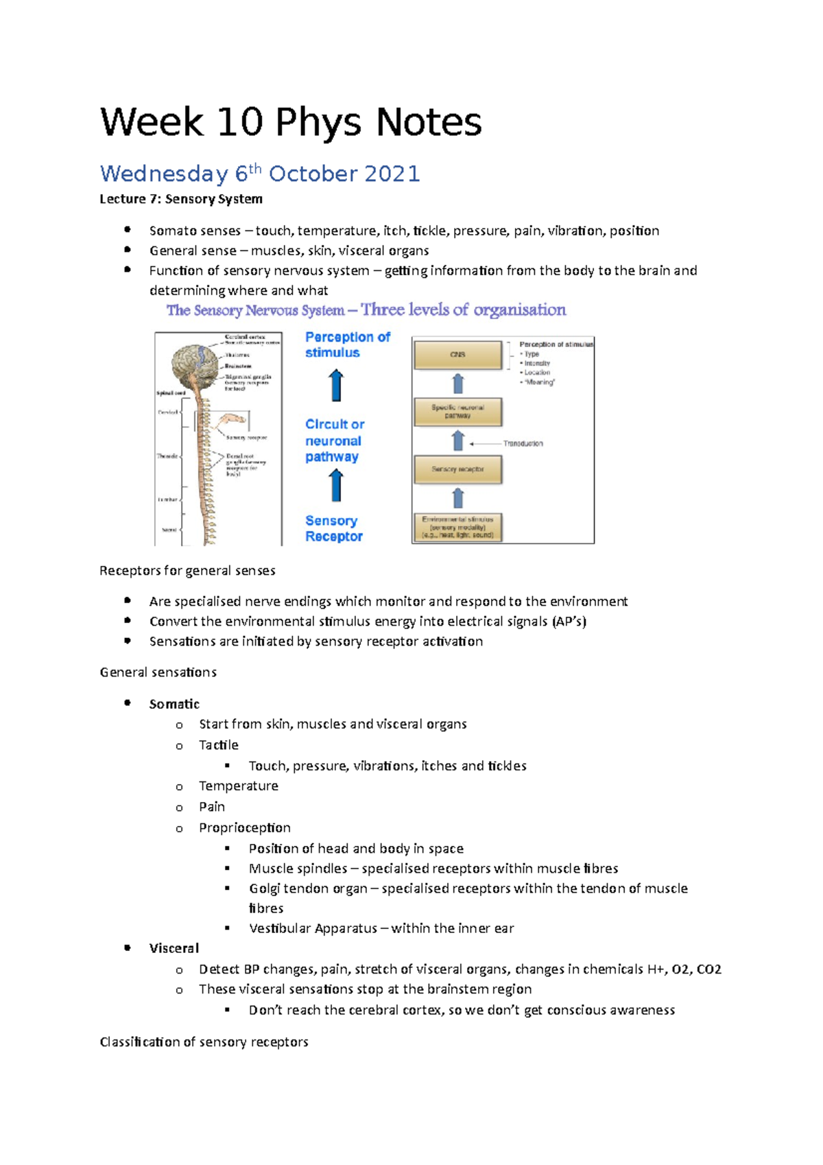 Sensory System Part 1 - Week 10 Phys Notes Wednesday 6th October 2021 ...