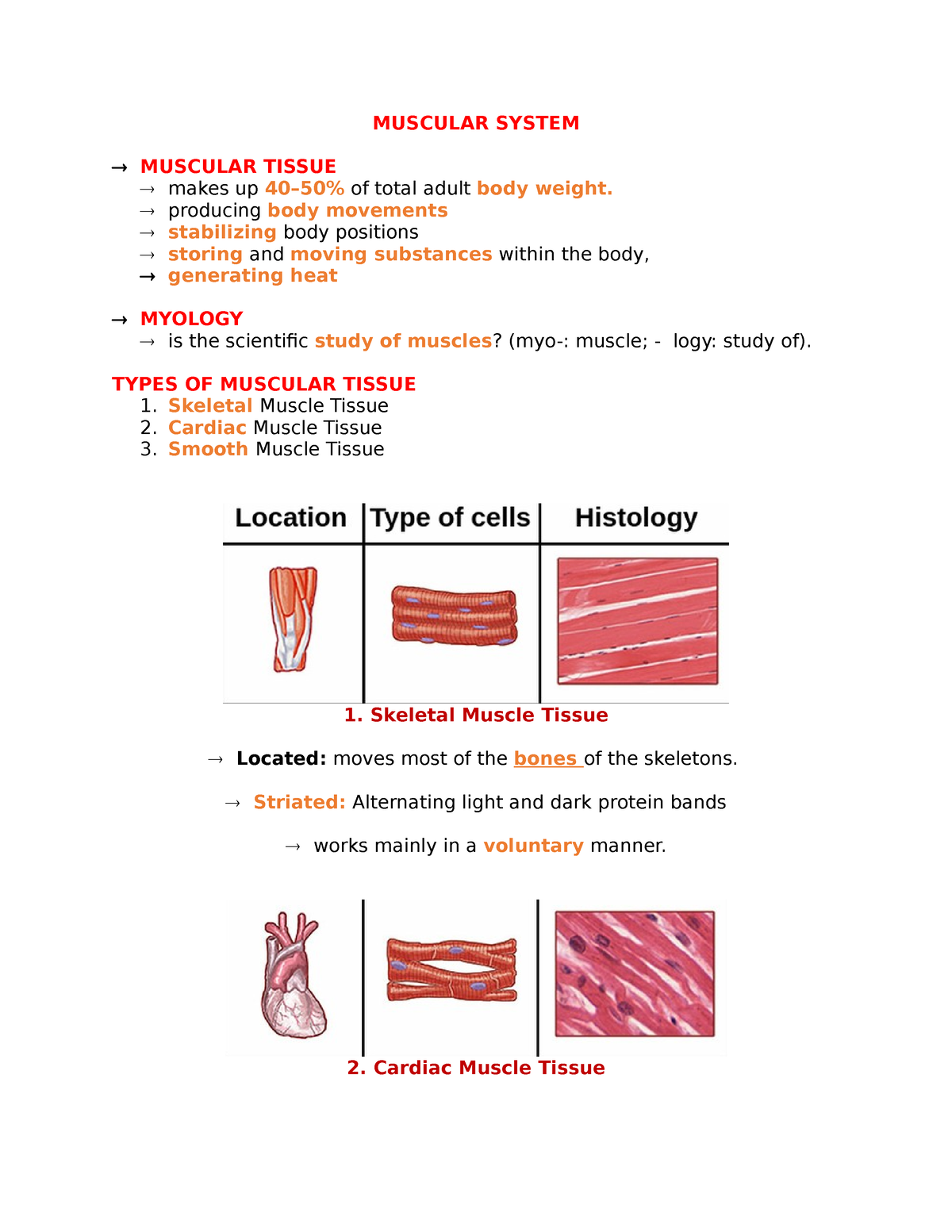 Muscular System Notes - MUSCULAR SYSTEM MUSCULAR TISSUE makes up 40–50% ...