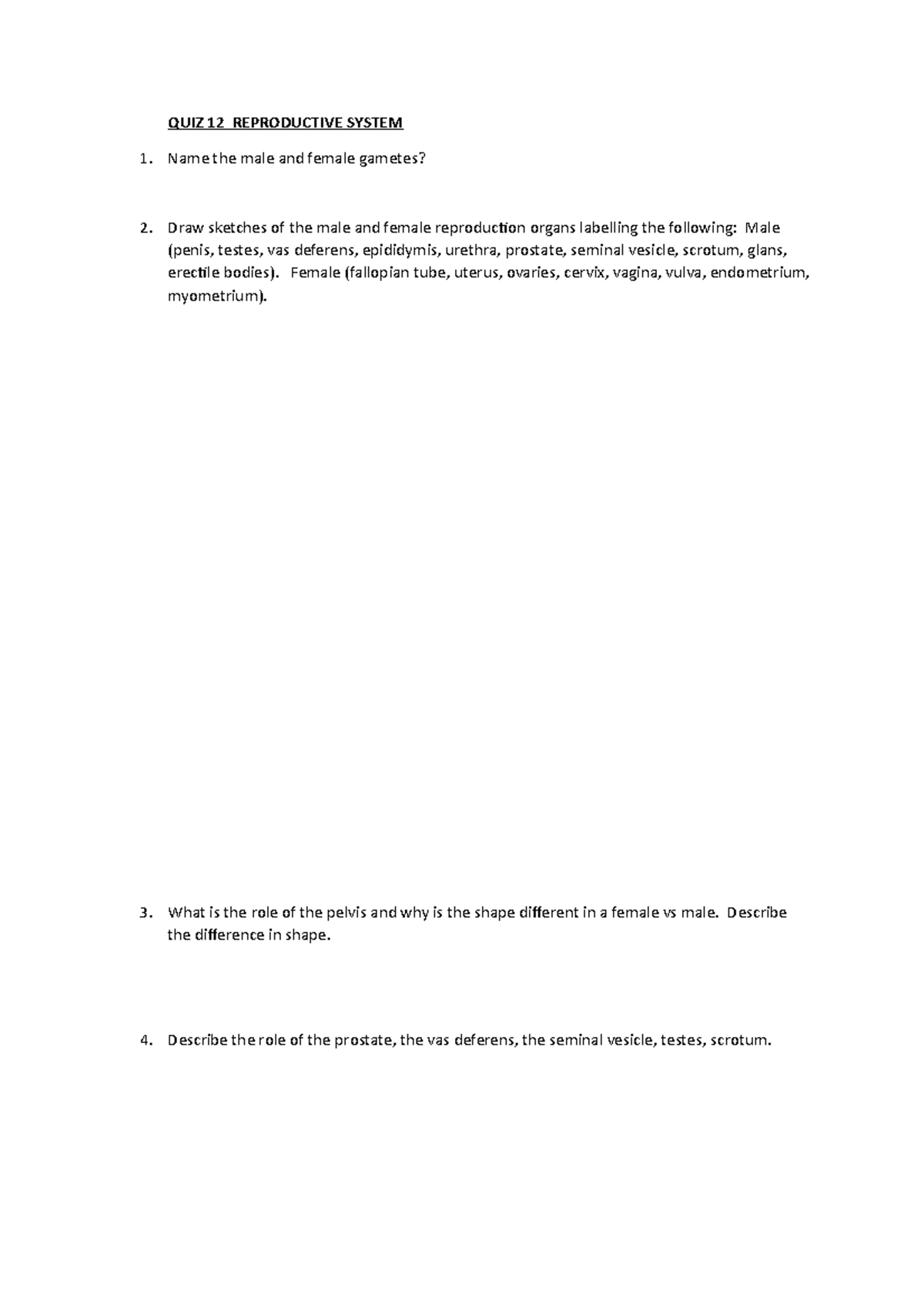 QUIZ 12 Reproductive System - QUIZ 12 REPRODUCTIVE SYSTEM Name the male