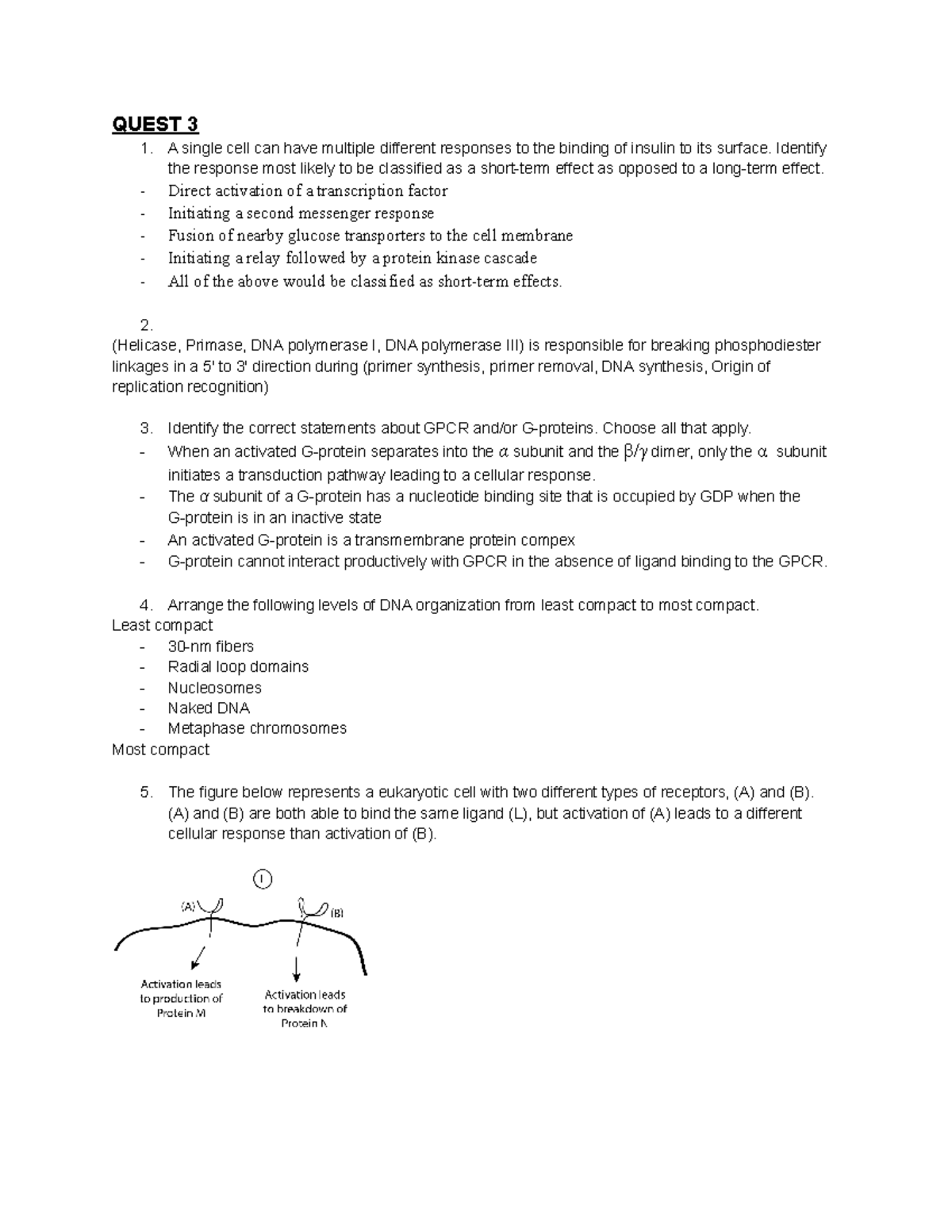 MCB 150 Old Quest 3 Questions With Answers - QUEST 3 A single cell can ...