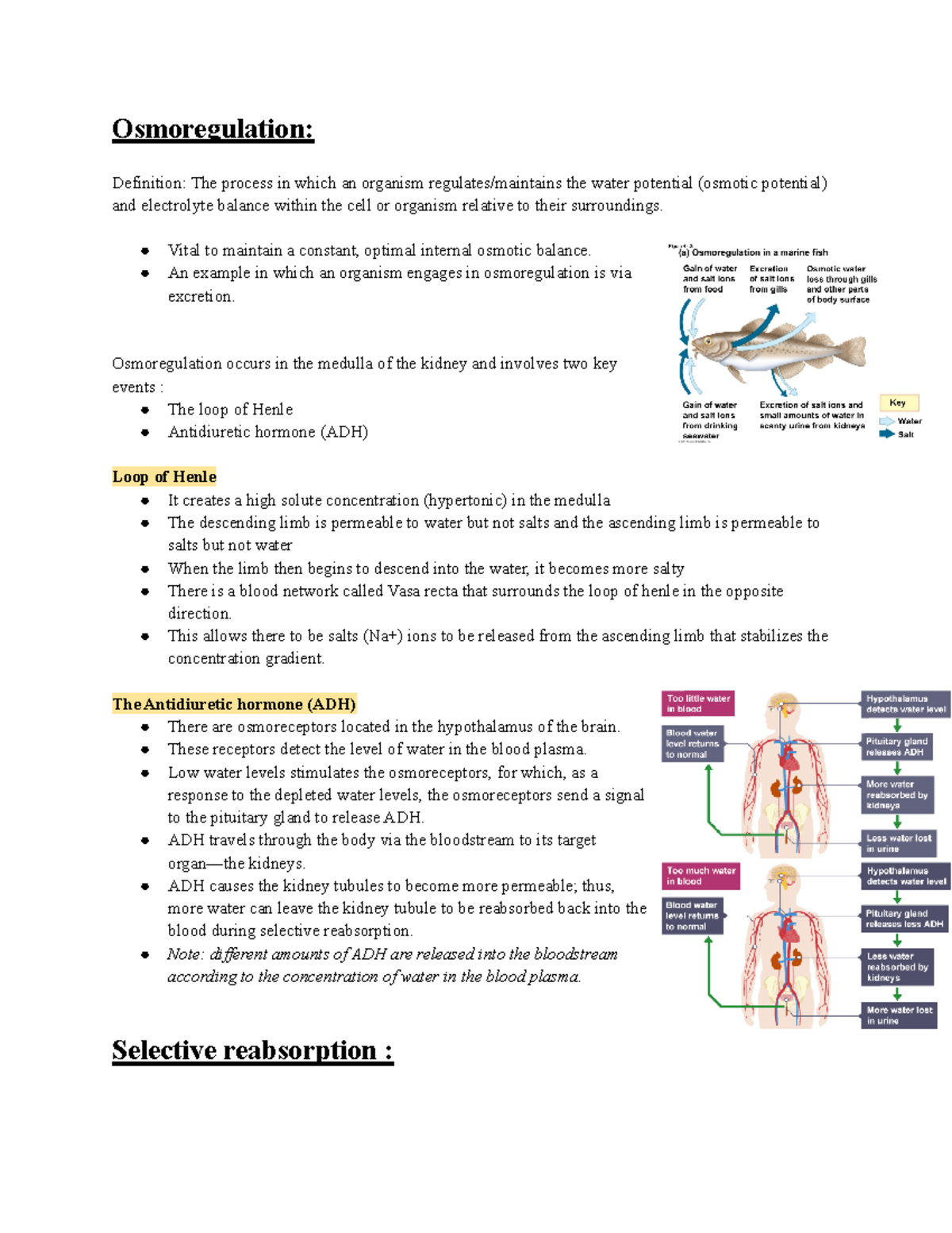 Osmoregulation, selective reabsorption, and ultrafiltration ...