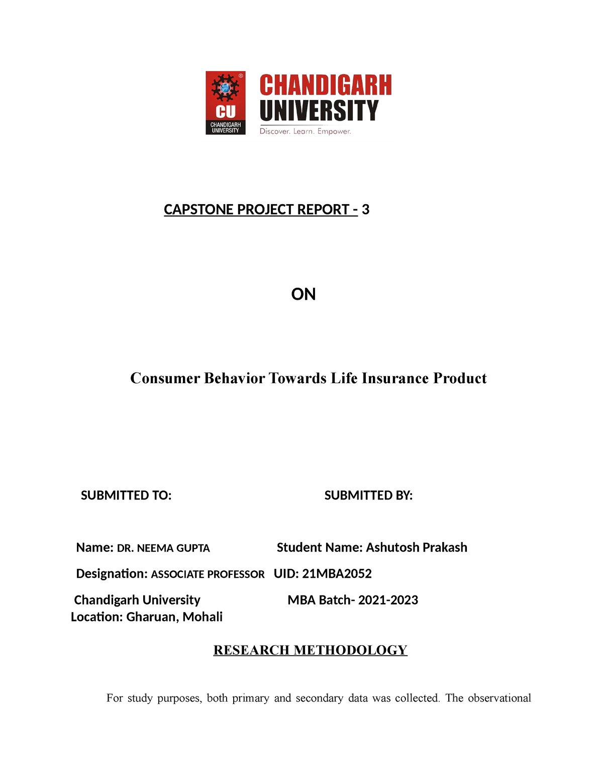 mba capstone project report