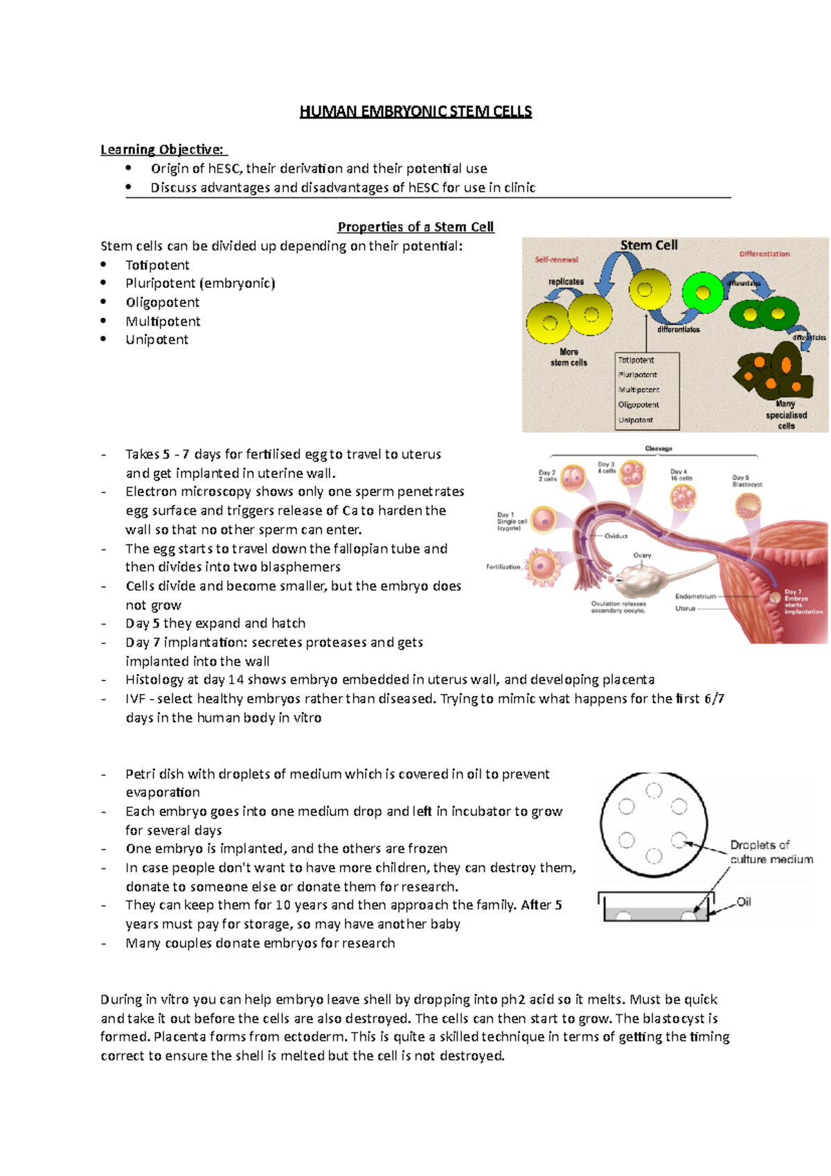 L2 h ESCs - Lecture notes 2 - HUMAN EMBRYONIC STEM CELLS Learning ...