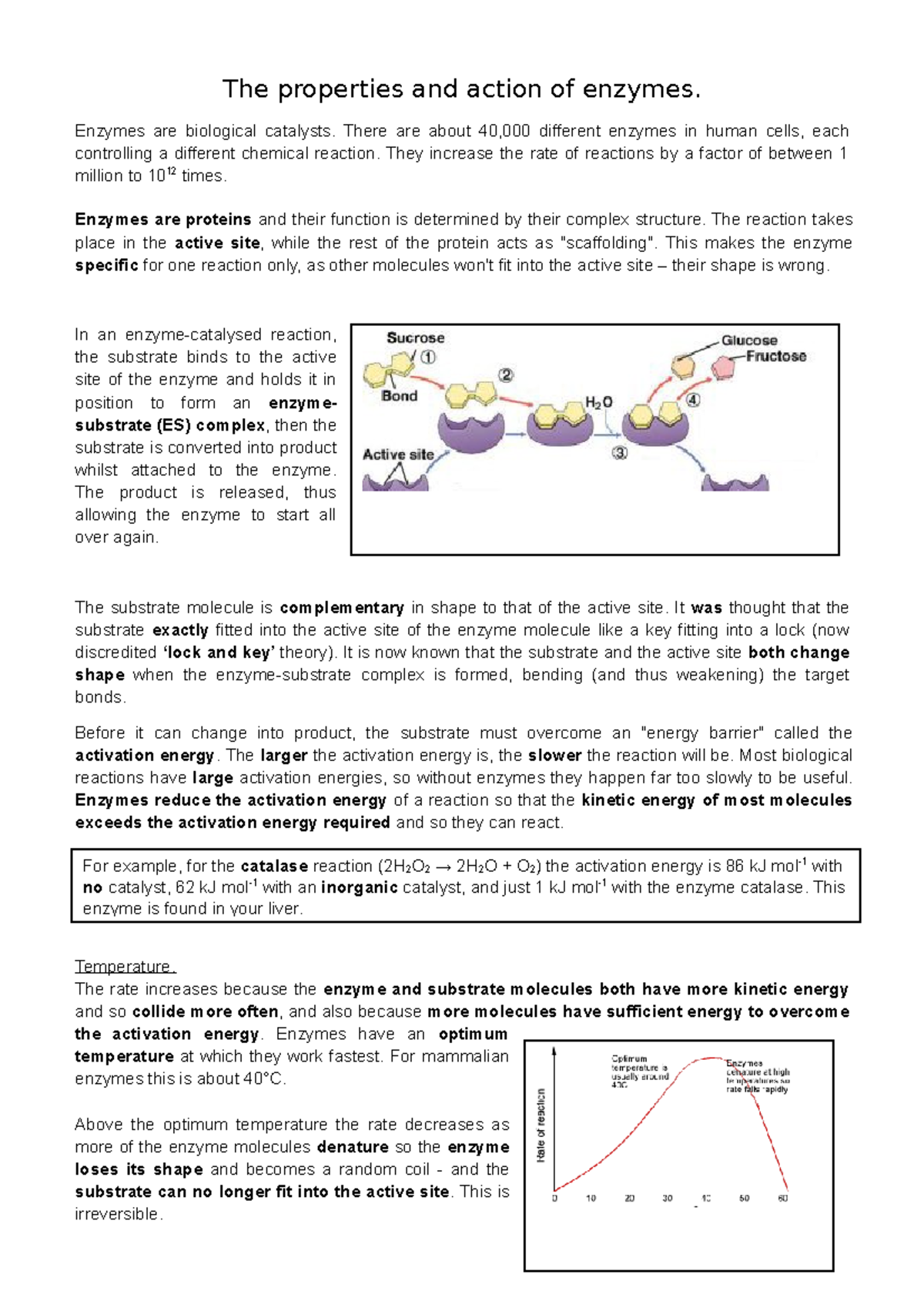 The properties and action of enzymes - Enzymes are biological catalysts ...