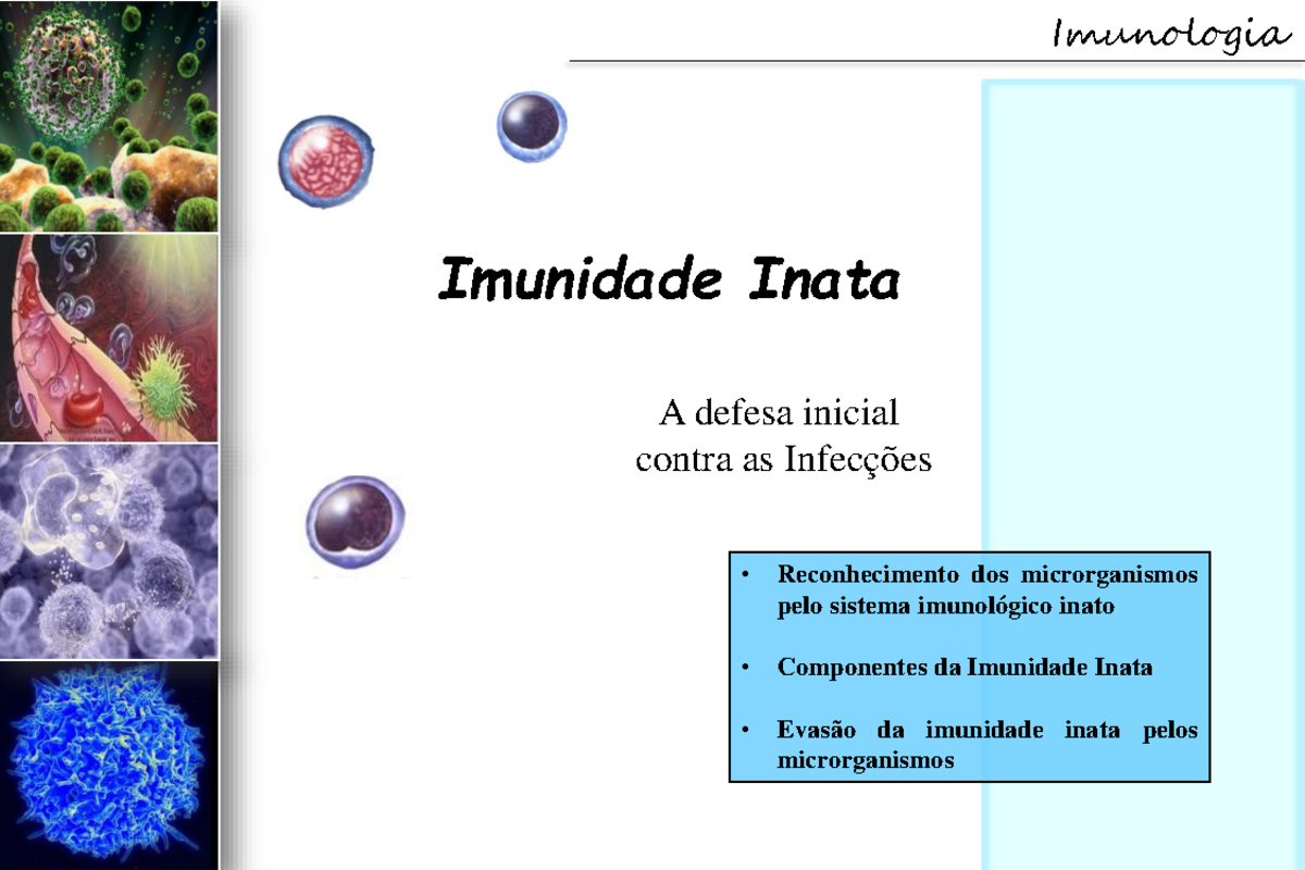 Imunidade Inata E Adquirida ( Correta) - Imunidade Inata A Defesa ...