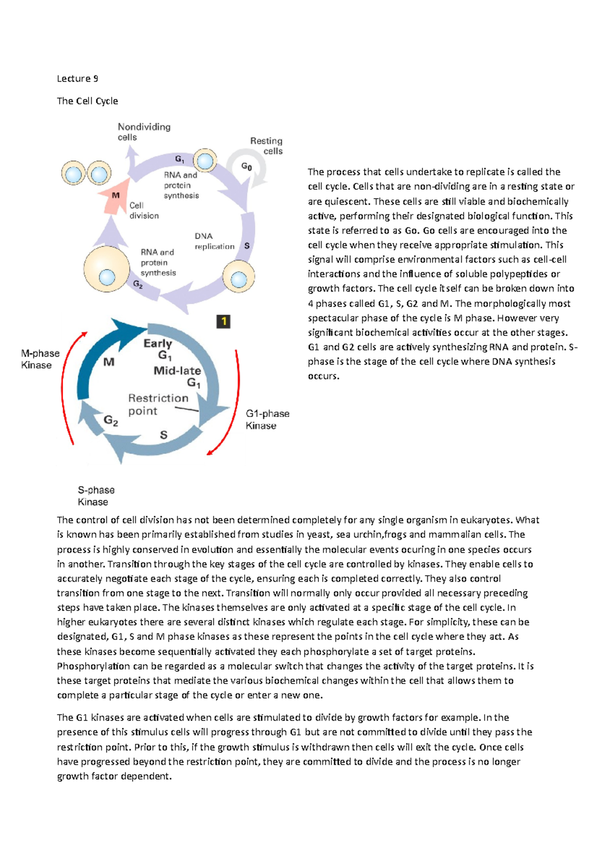 Cell checkpoints 2 (lecture 9) - Lecture 9 The Cell Cycle The control ...