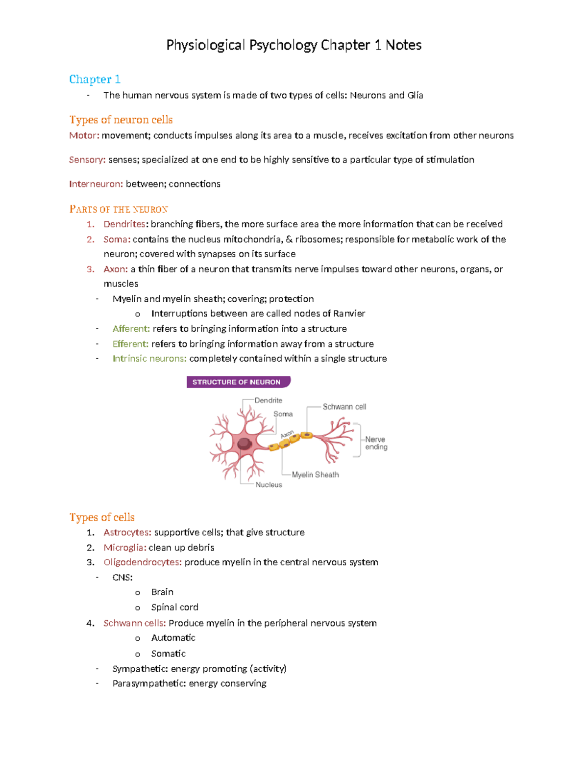 Physio Psy Notes - Chapter 1 The human nervous system is made of two ...