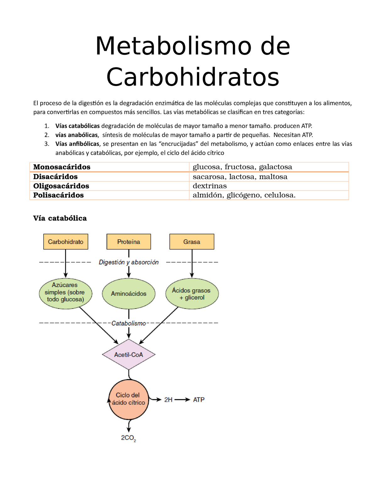 1 Metabolismo De Carbohidratos Metabolismo De Carbohidratos El