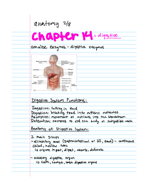 A&P Introduction Ch1-2 - Anatomy Vs Physiology: Anatomy → The Structure ...