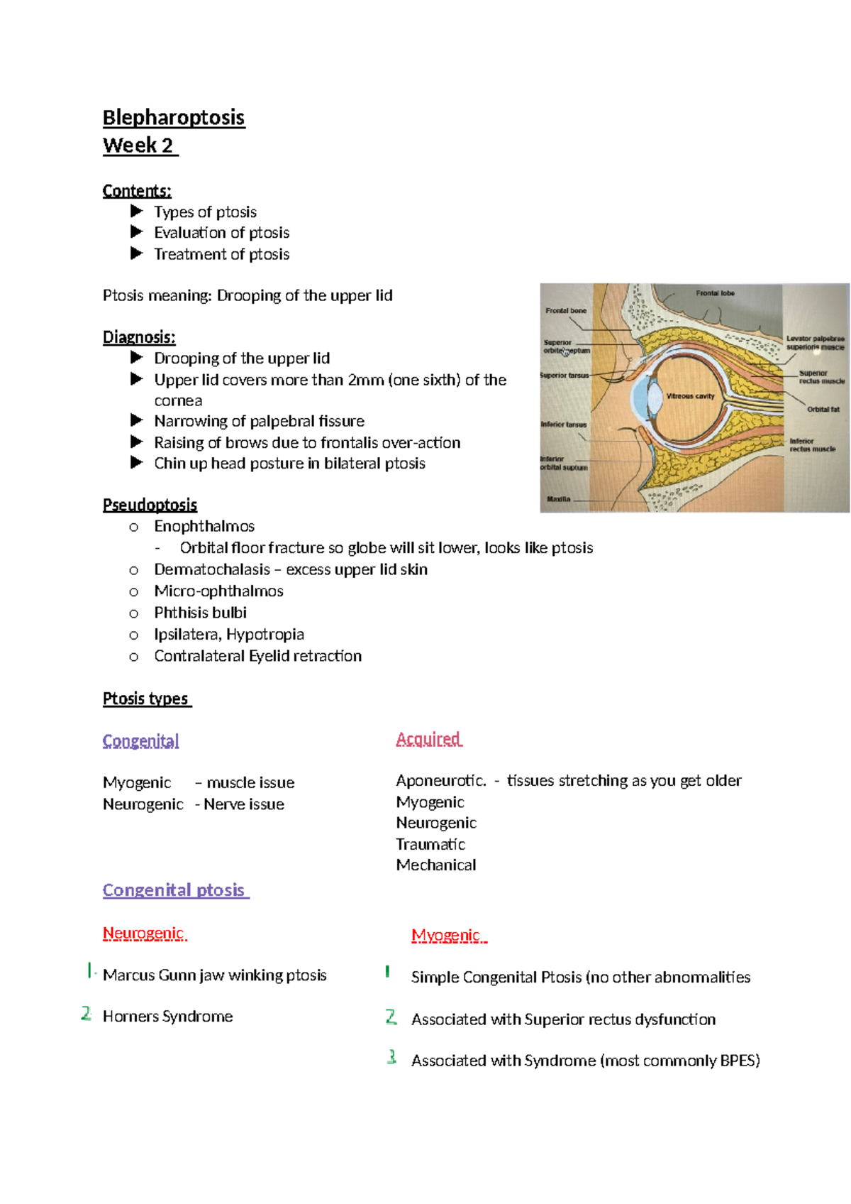 Blepharoptosis week 2 - Blepharoptosis Week 2 Contents: u Types of ...