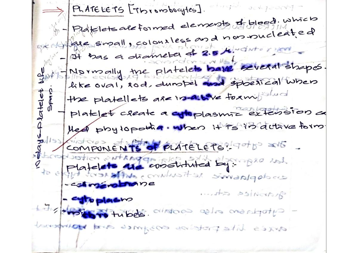 Platelets General Anatomy General Physiology and Blood Studocu