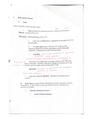 Movement for musles - LSU Human Anatomy Notes: For Exam 1 over Chapters ...