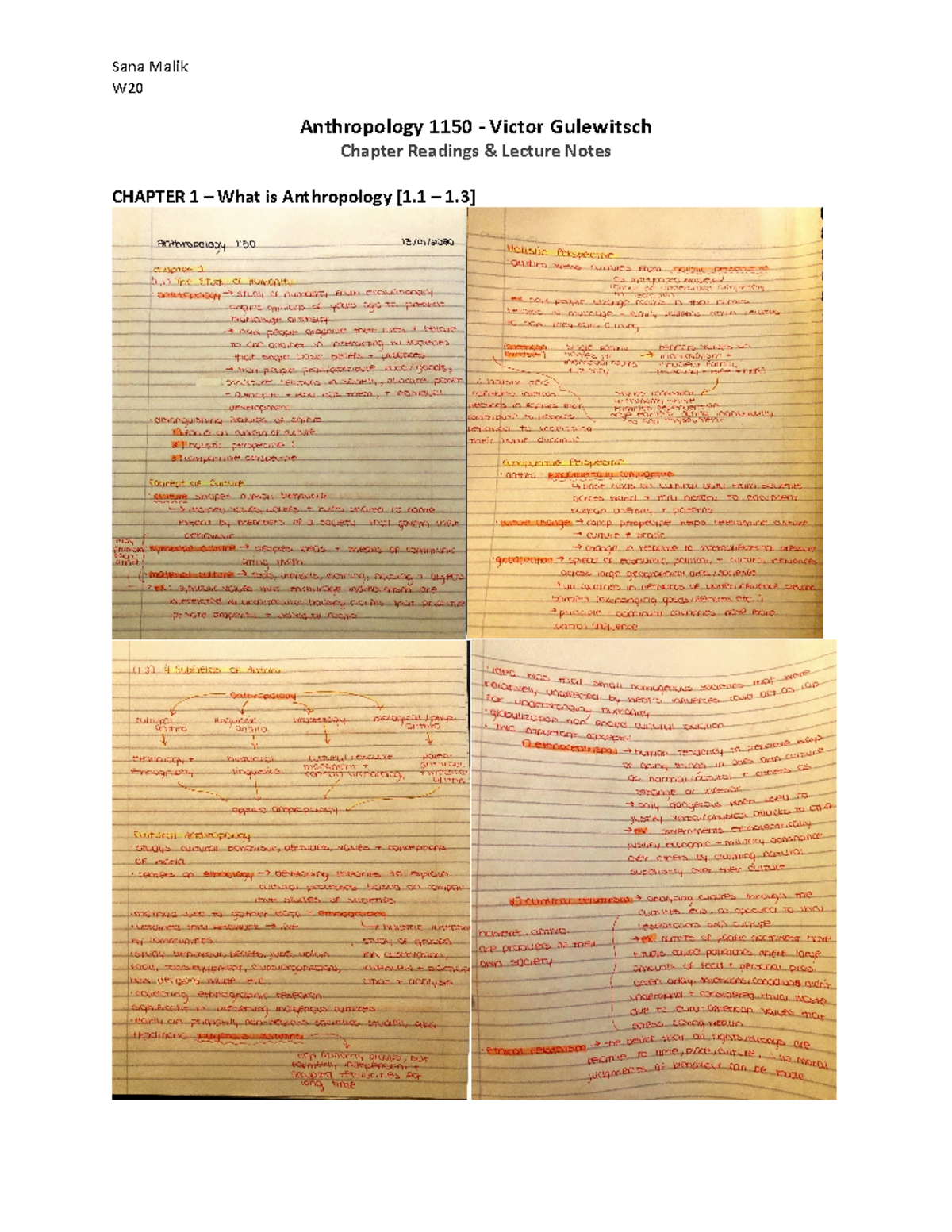 Anthro 1150 Notes - W Anthropology 1150 - Victor Gulewitsch Chapter ...