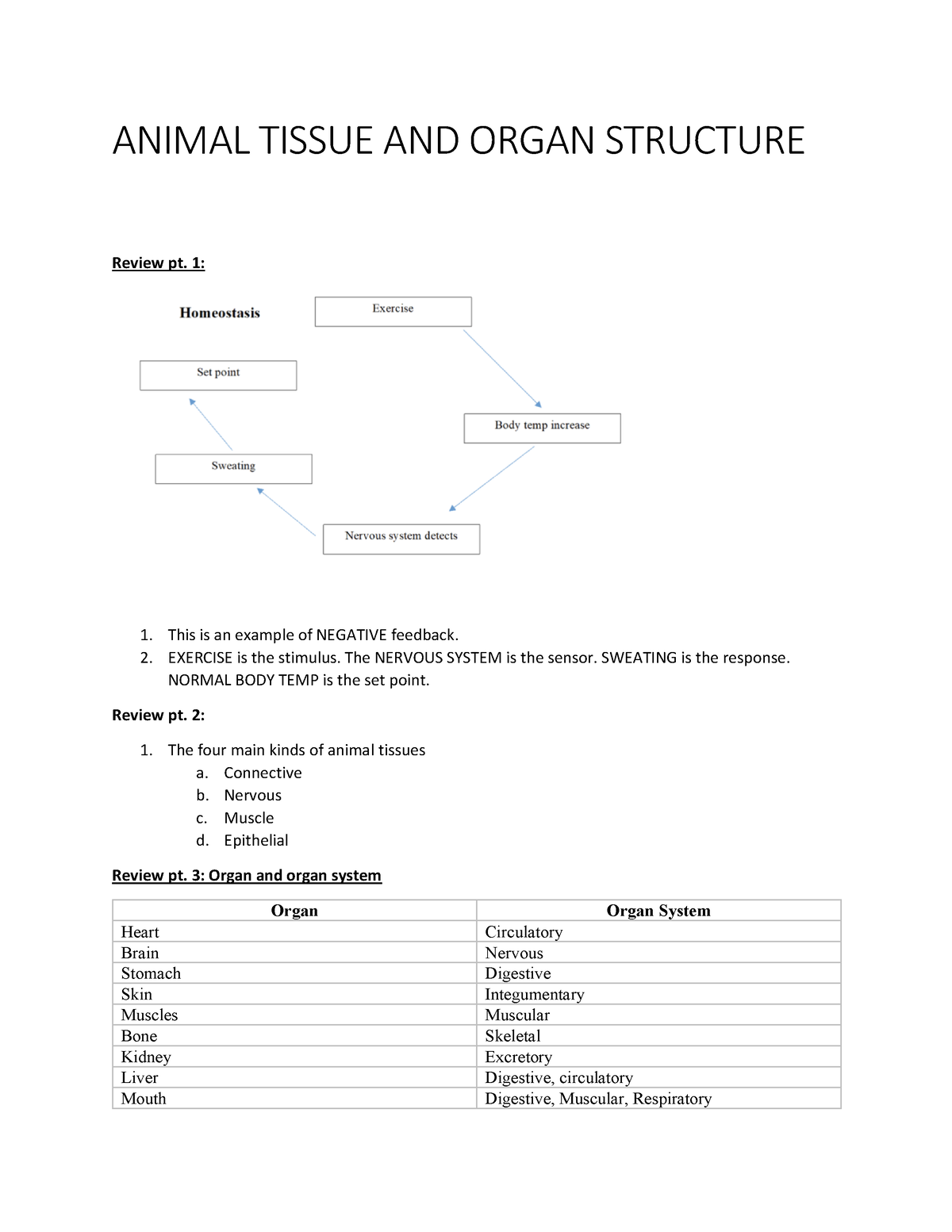Animal Tissue AND Organ Structure - ANIMAL TISSUE AND ORGAN STRUCTURE  Review pt. 1: This is an - Studocu