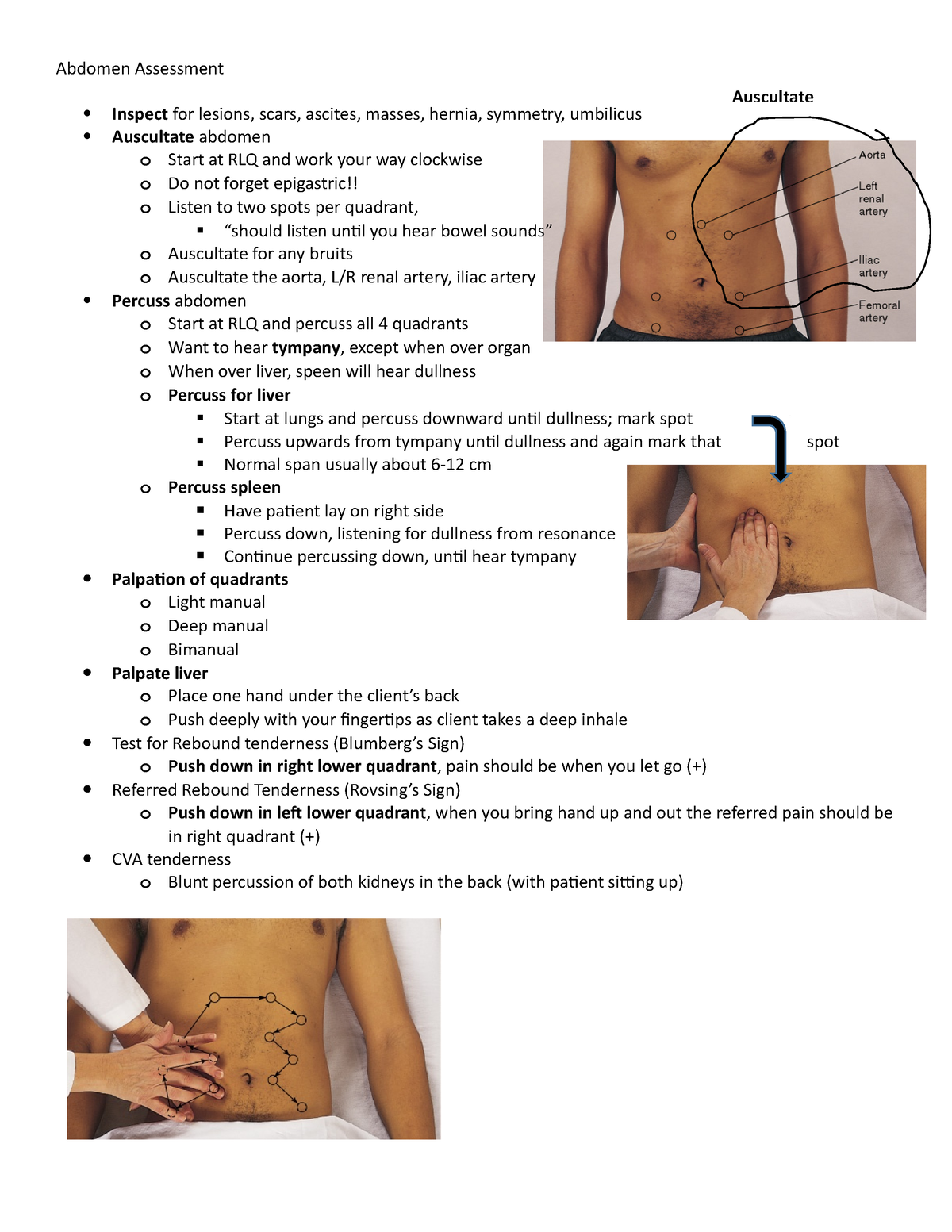 lab assignment assessing the abdomen