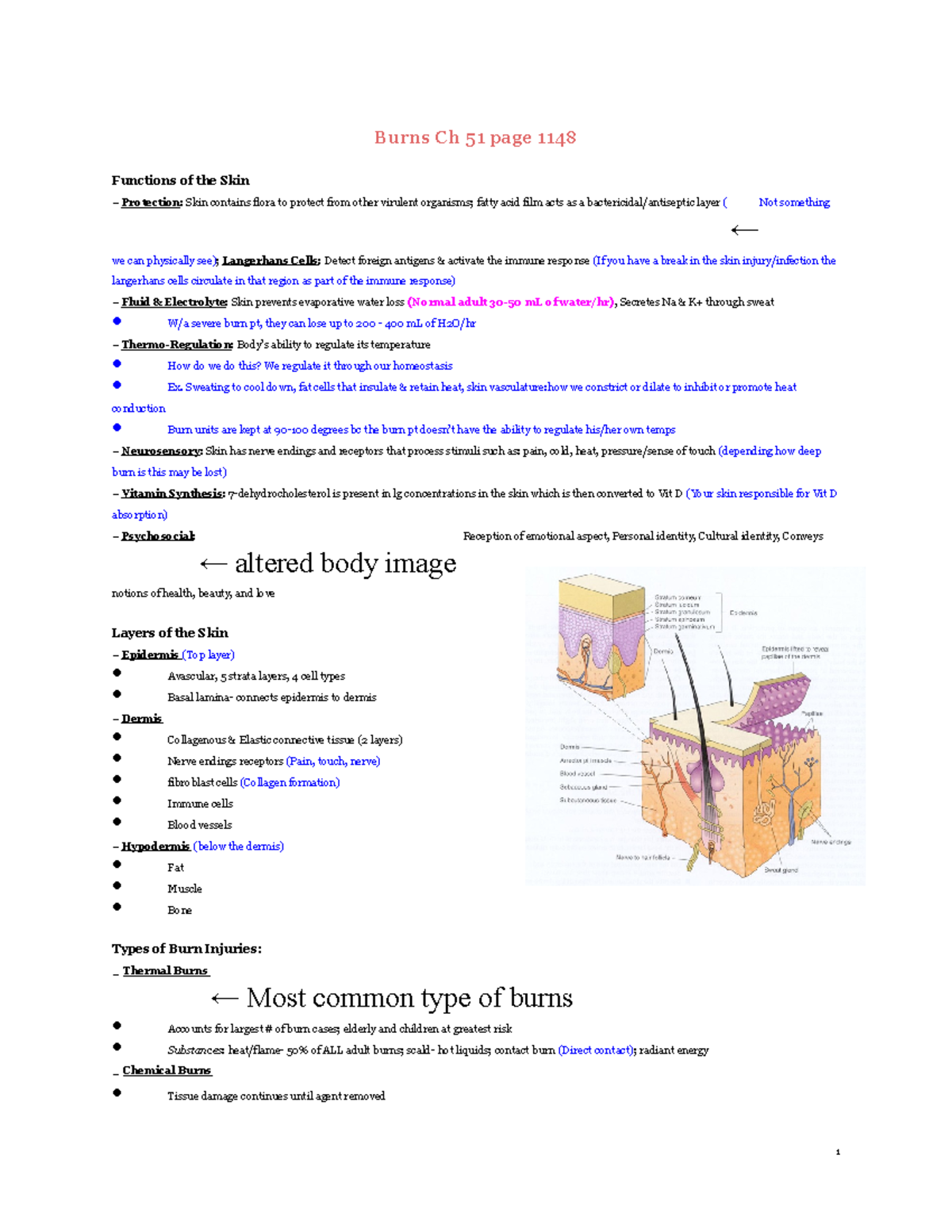 DONE Burns - Use clinical reasoning and all nursing knowledge to assign ...