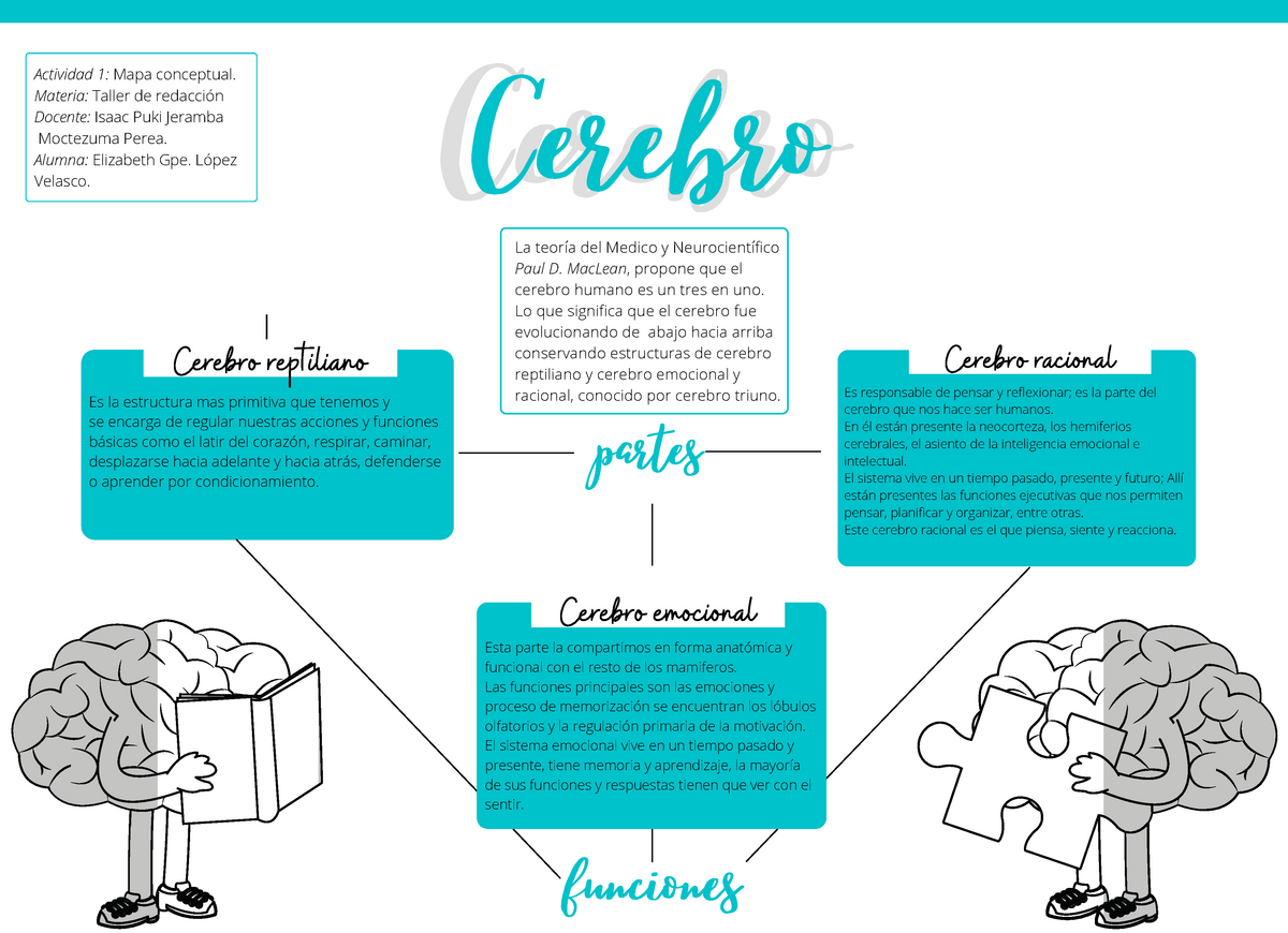 A ELV MAPA CONCEPTUAL CEREBRO Cerebro partes funciones La teoría del Medico y