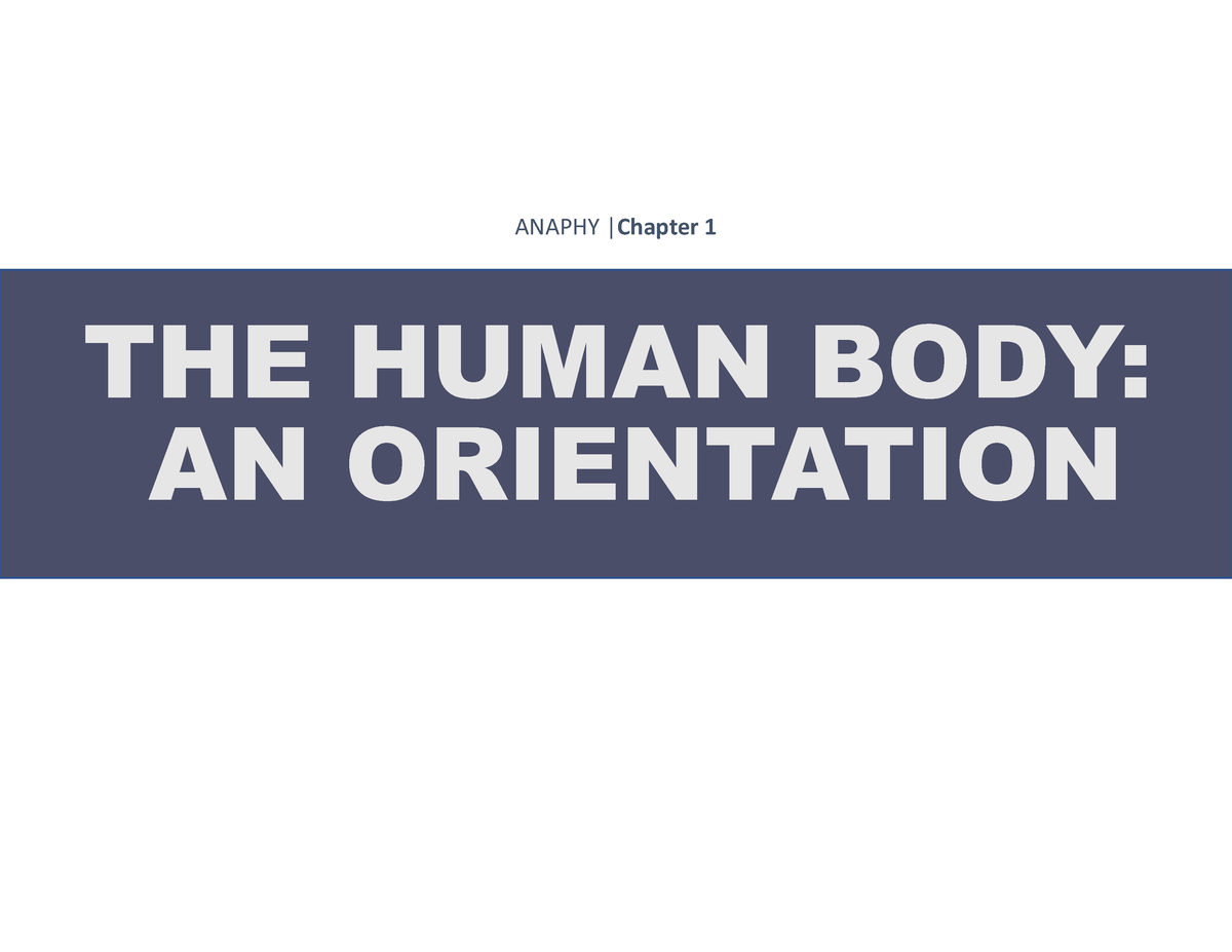 Anaphy Chapter 1 - The Human Body - ANAPHY |Chapter 1 THE HUMAN BODY ...